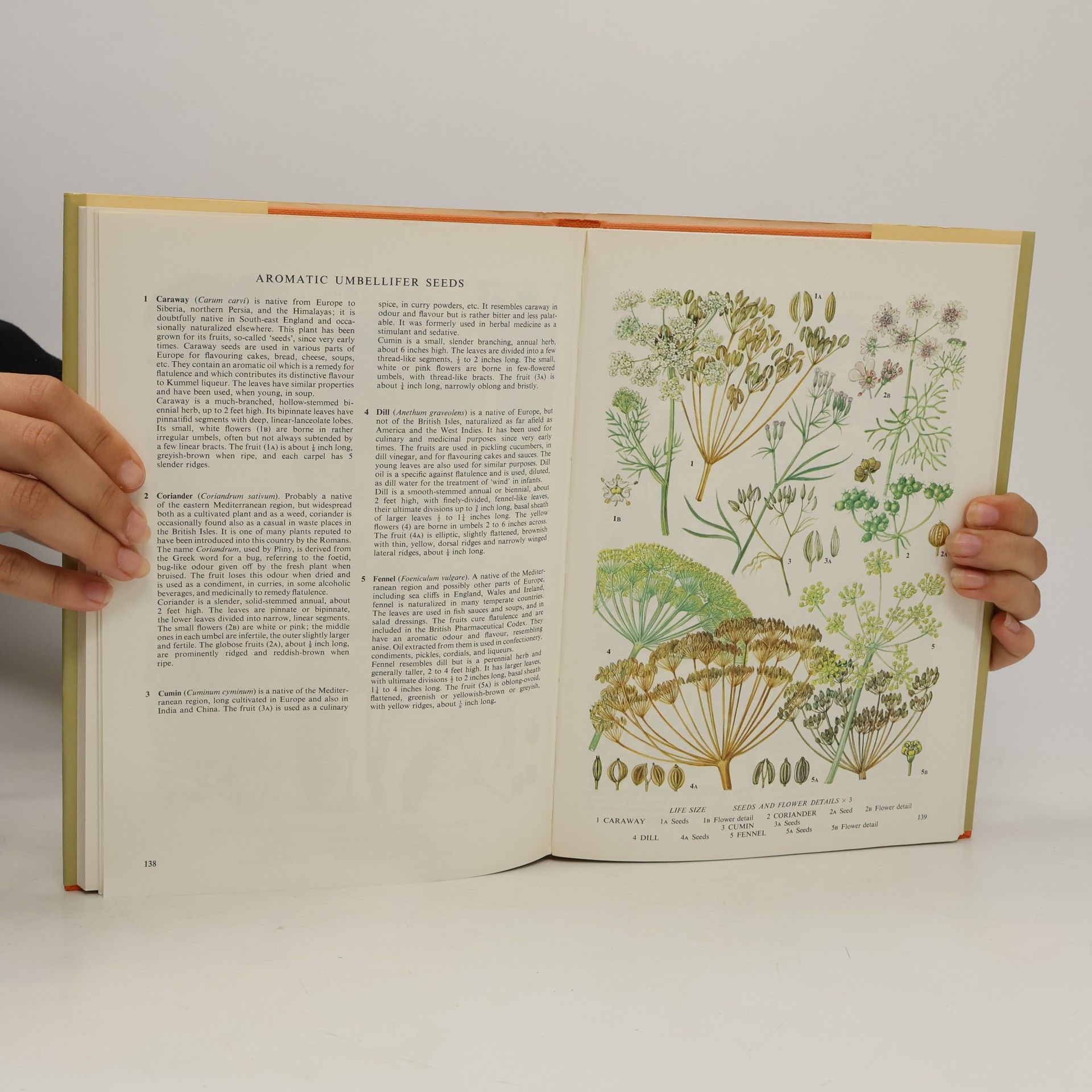 Michael Wallis The Oxford Book of Food Plants Michael Wallis