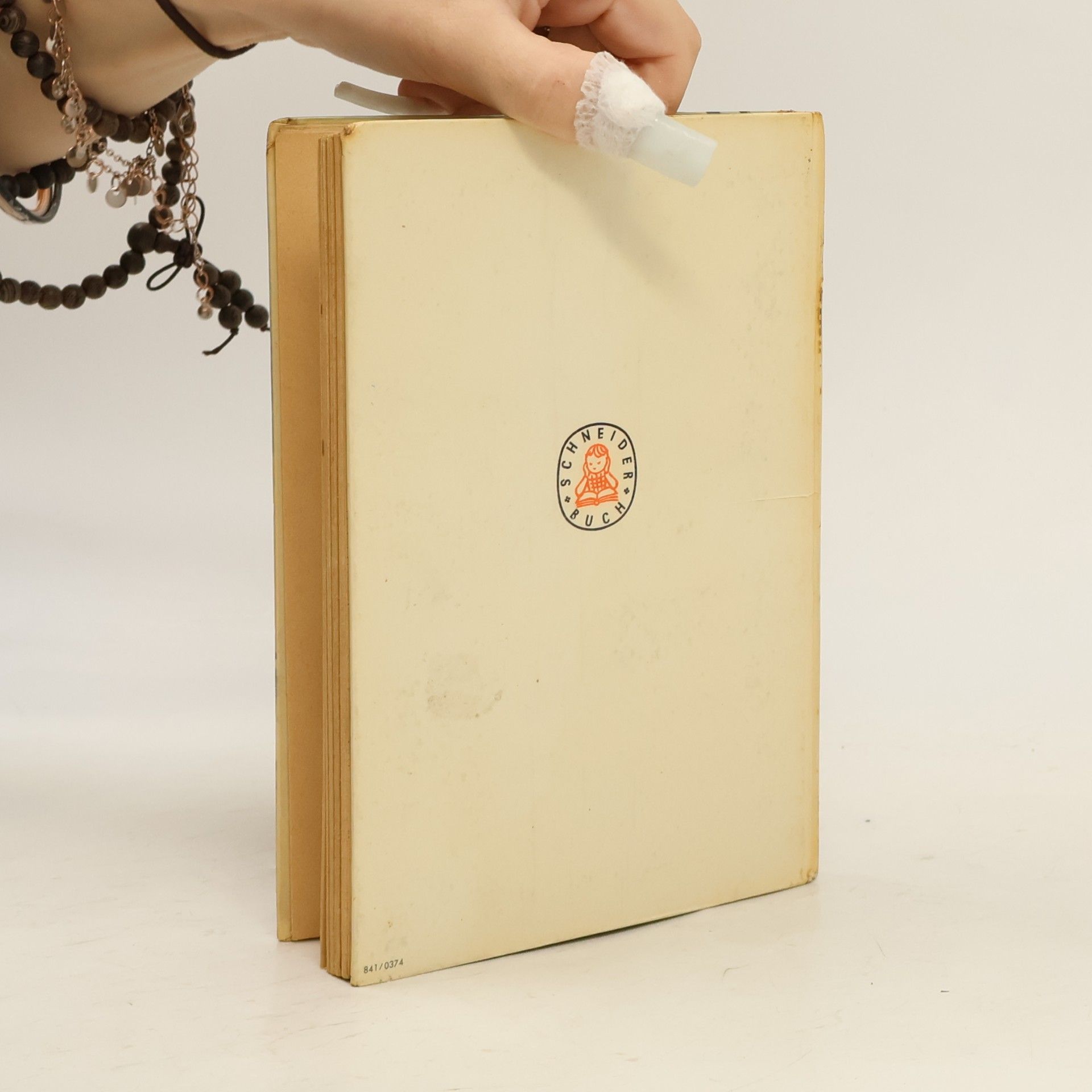 Fritz Otto Busch Der blinde Passagier
