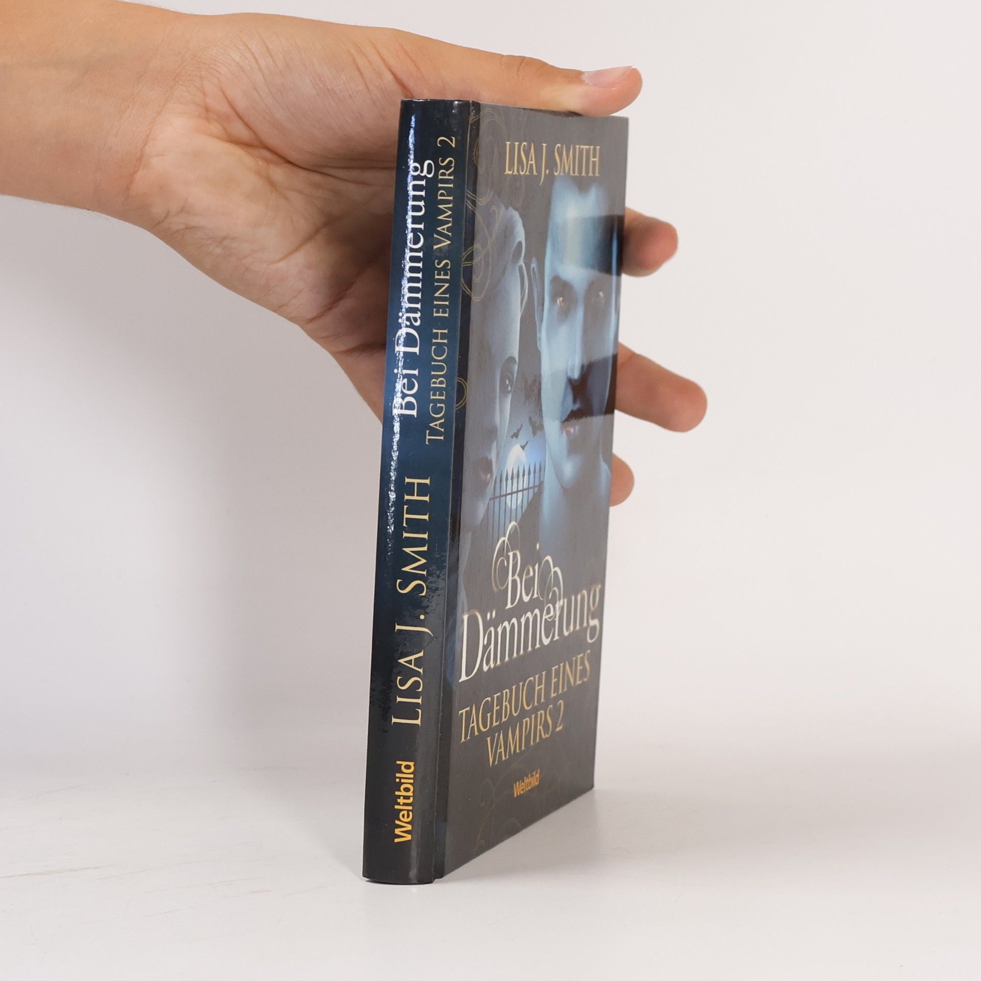 L. J. Smithová  Tagebuch eines Vampirs 2. Bei Dämmerung