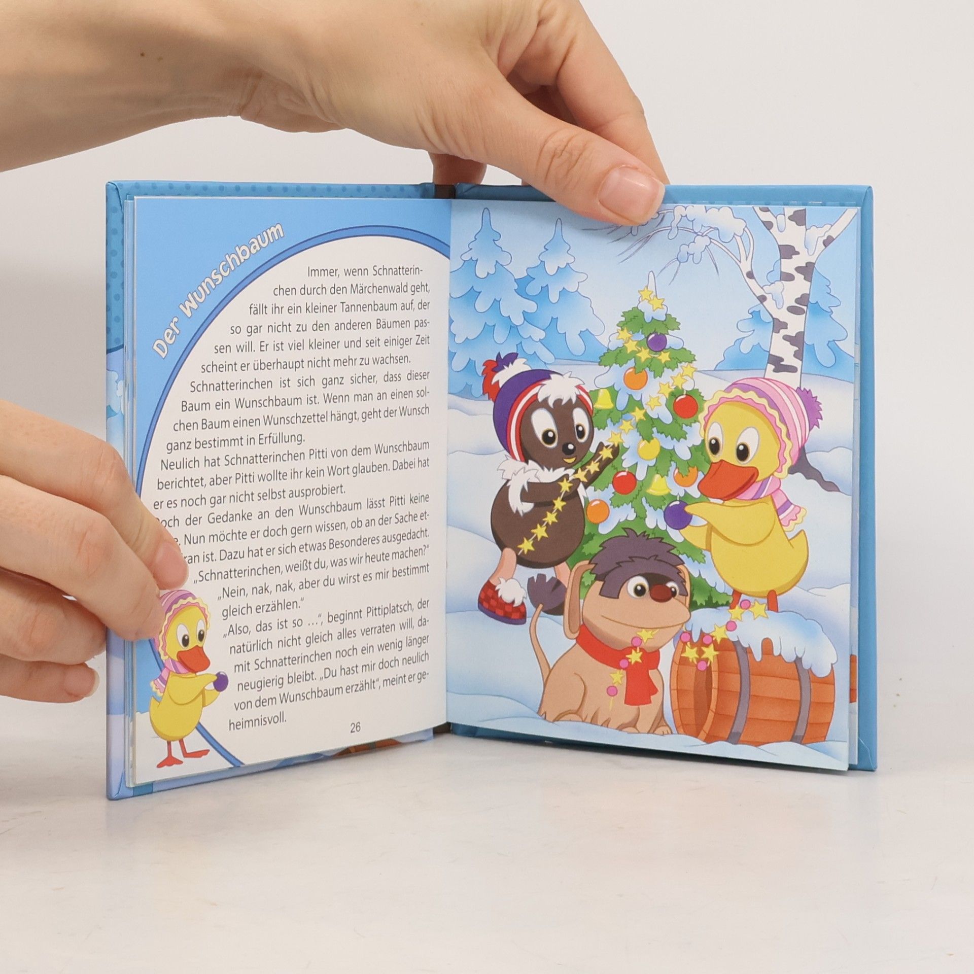 Autorenkollektiv Pittiplatsch Wintergeschichten