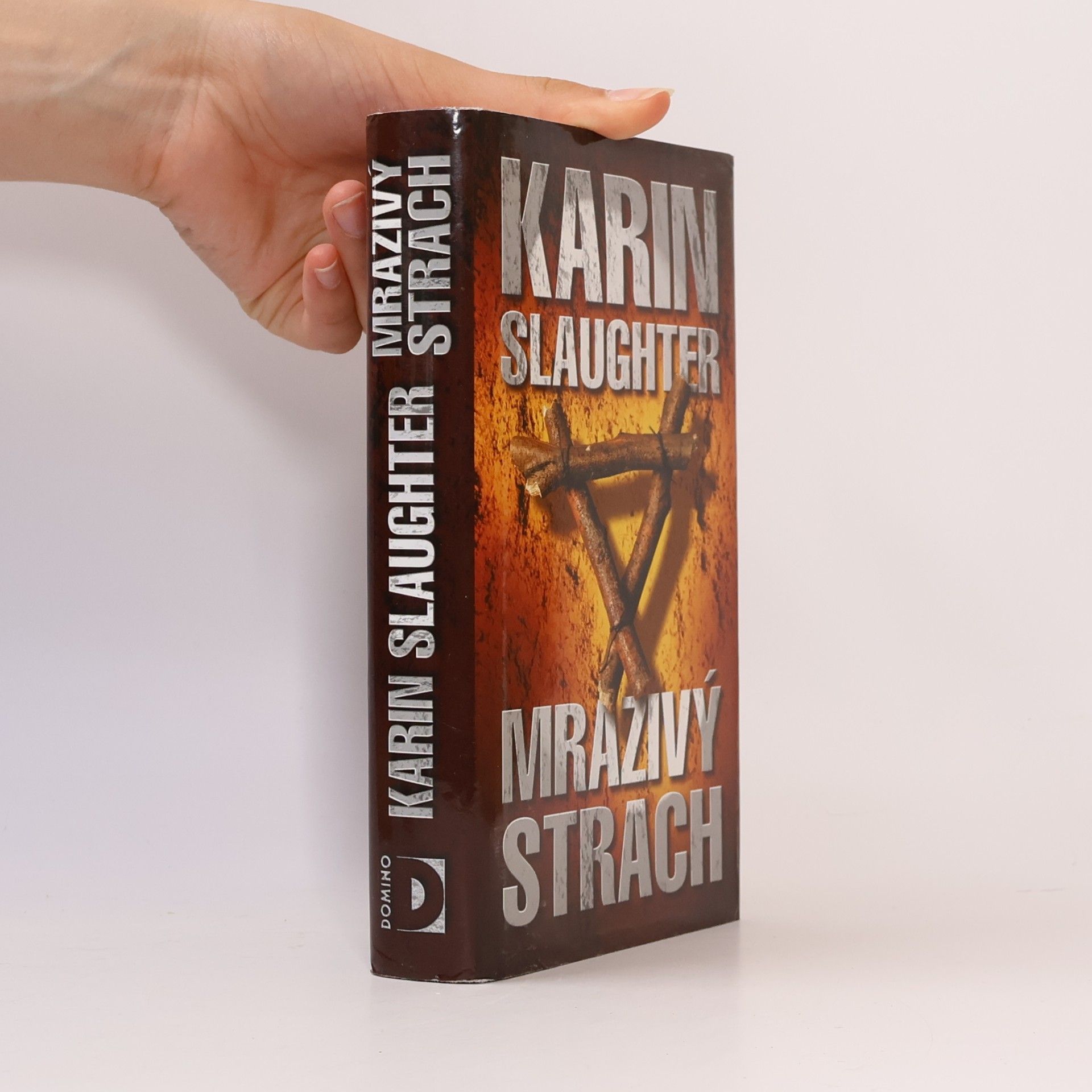 Karin Slaughter Mrazivý strach