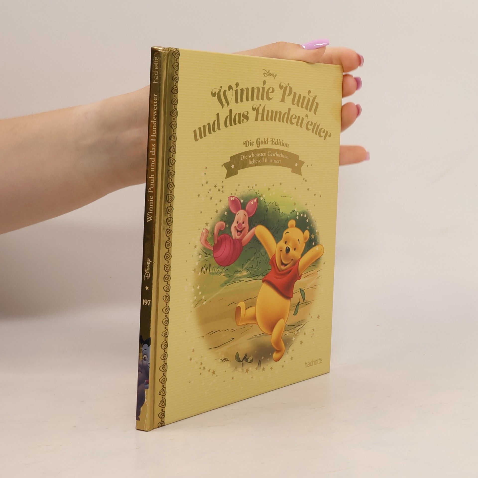 Autorenkollektiv Winnie Puuh und das Hundewetter