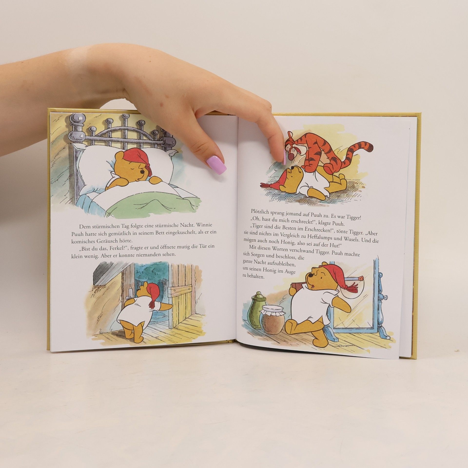Autorenkollektiv Winnie Puuh und das Hundewetter