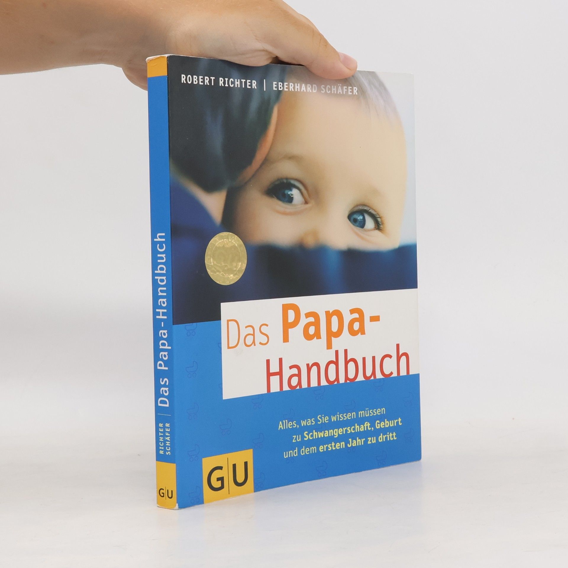 Das Papa-Handbuch