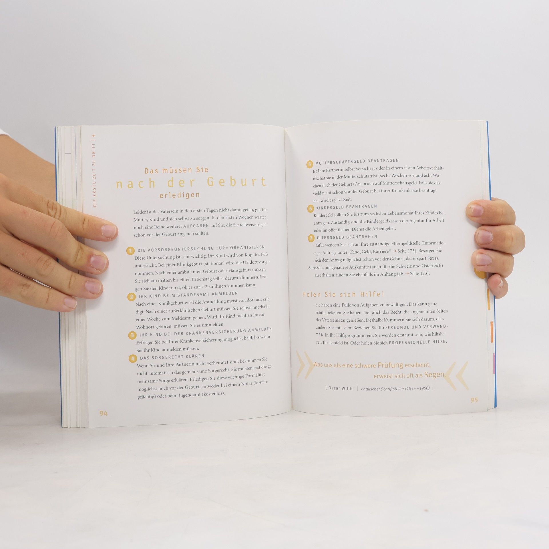 Robert Richter Das Papa-Handbuch