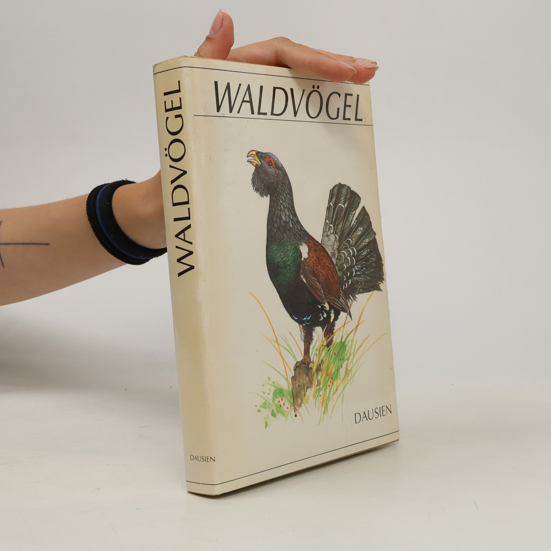 k. A. Waldvögel