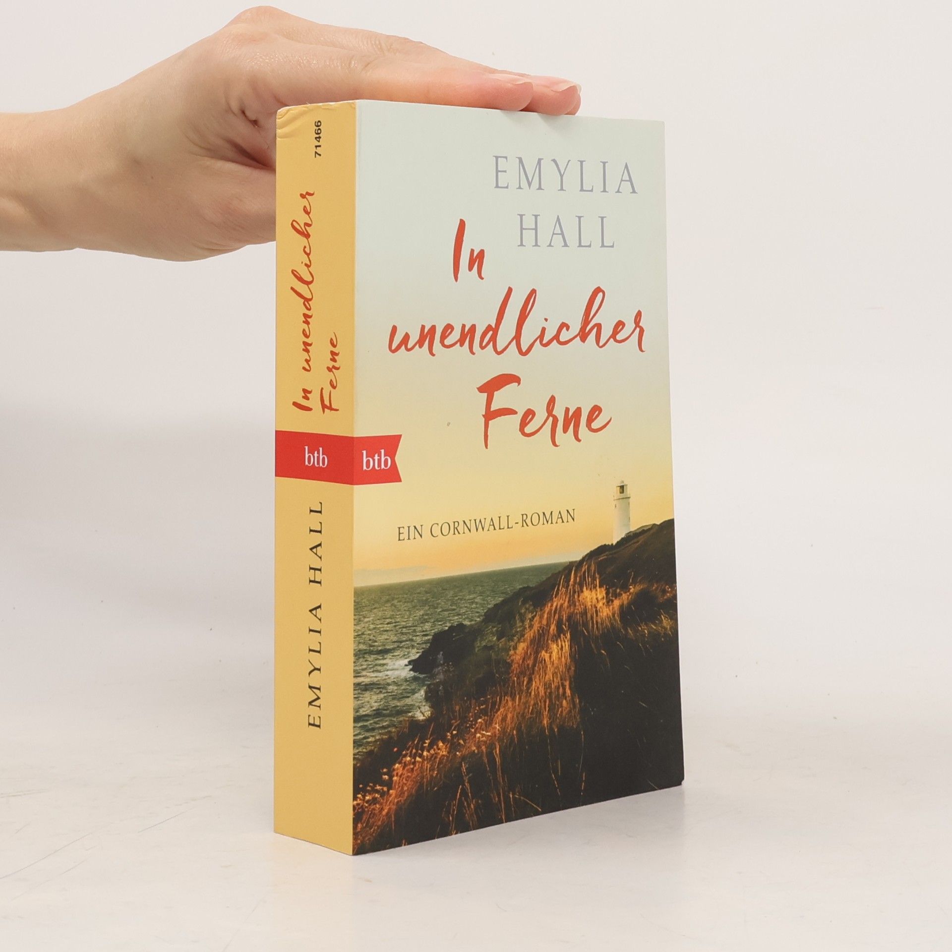 Emylia Hall In unendlicher Ferne