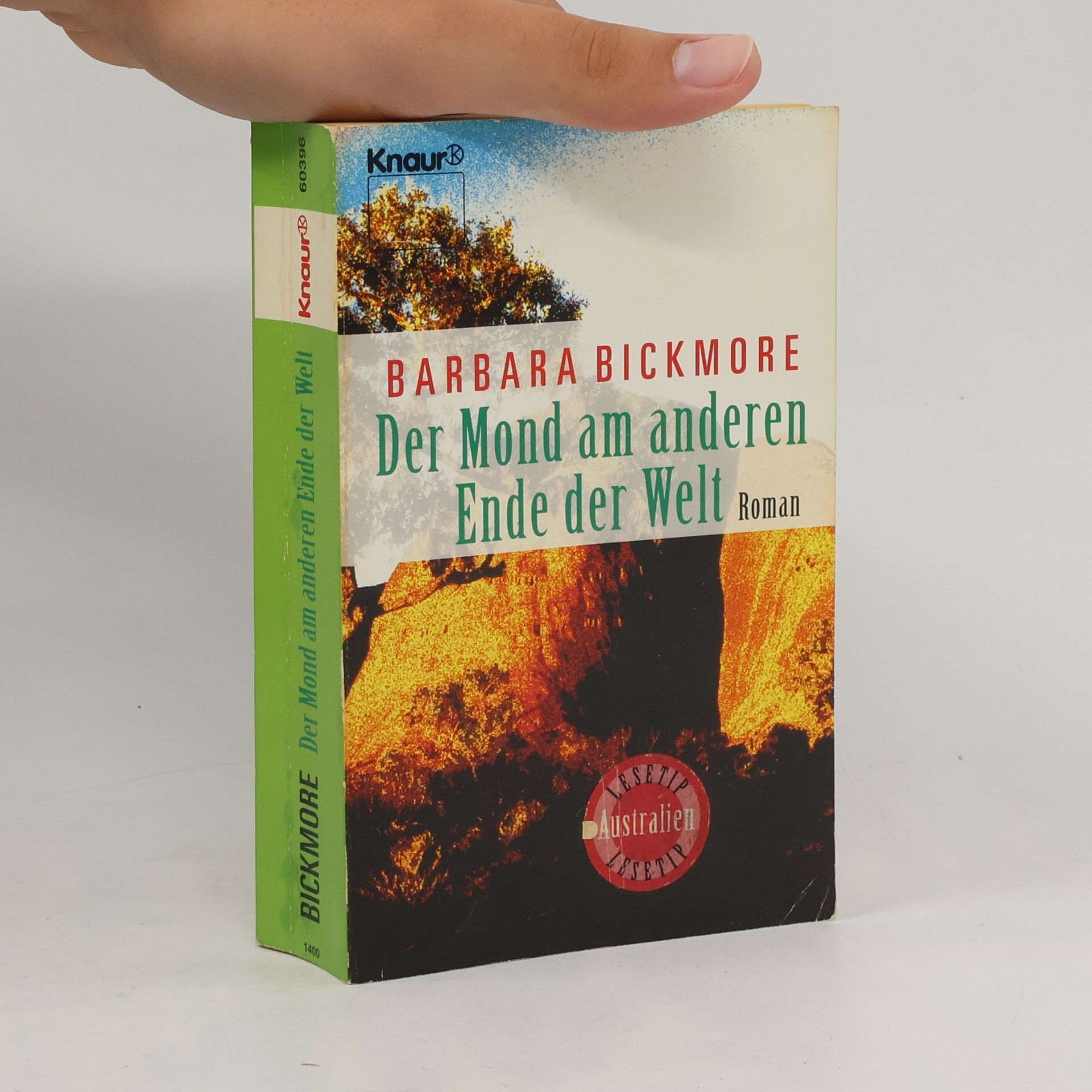 Barbara Bickmore Der Mond am anderen Ende der Welt