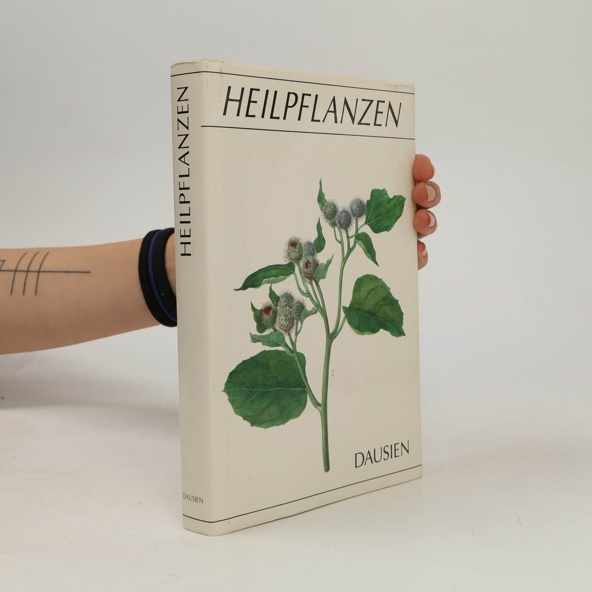 Hana Storchová Heilpflanzen für Ihre Gesundheit