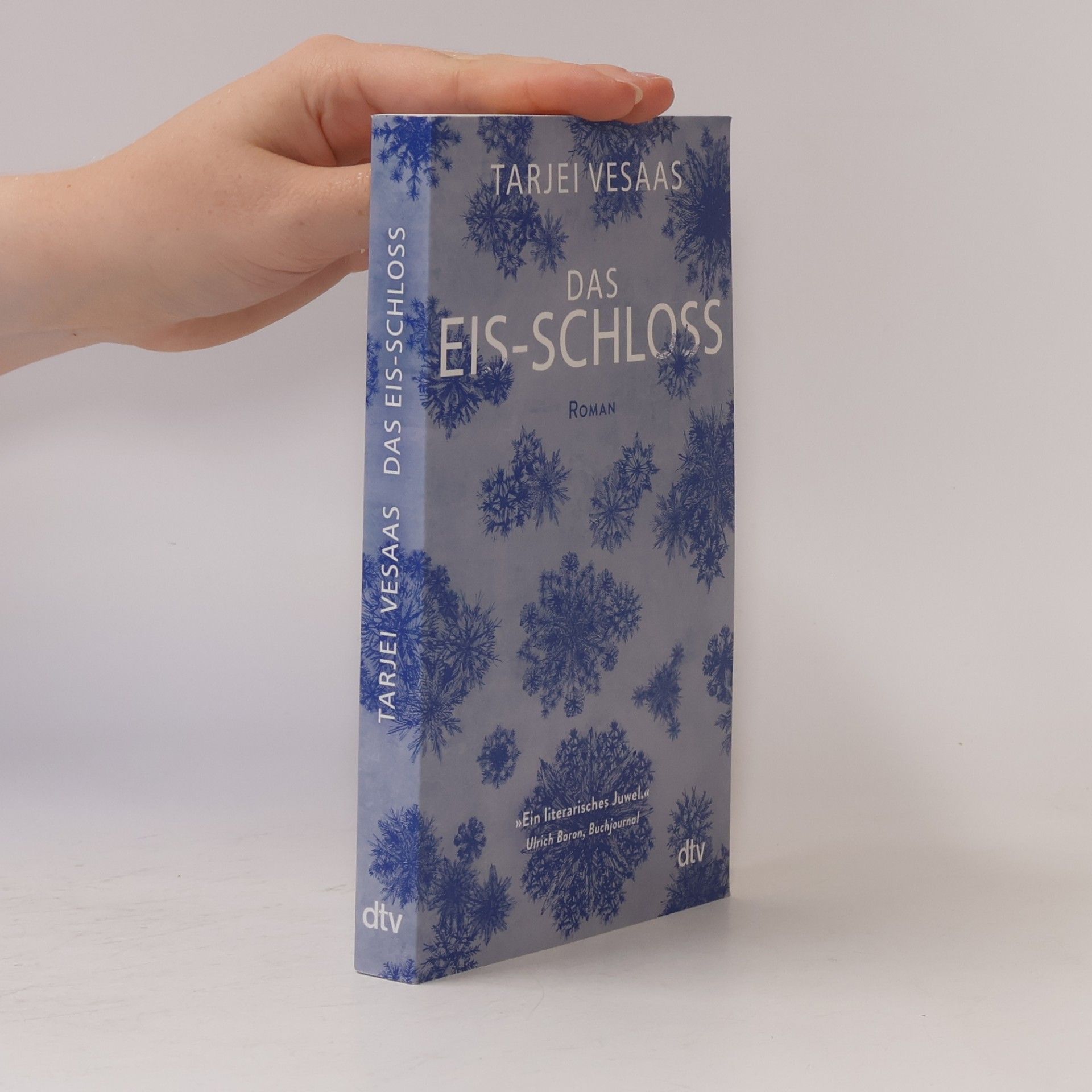 Tarjei Vesaas Das Eis-Schloss