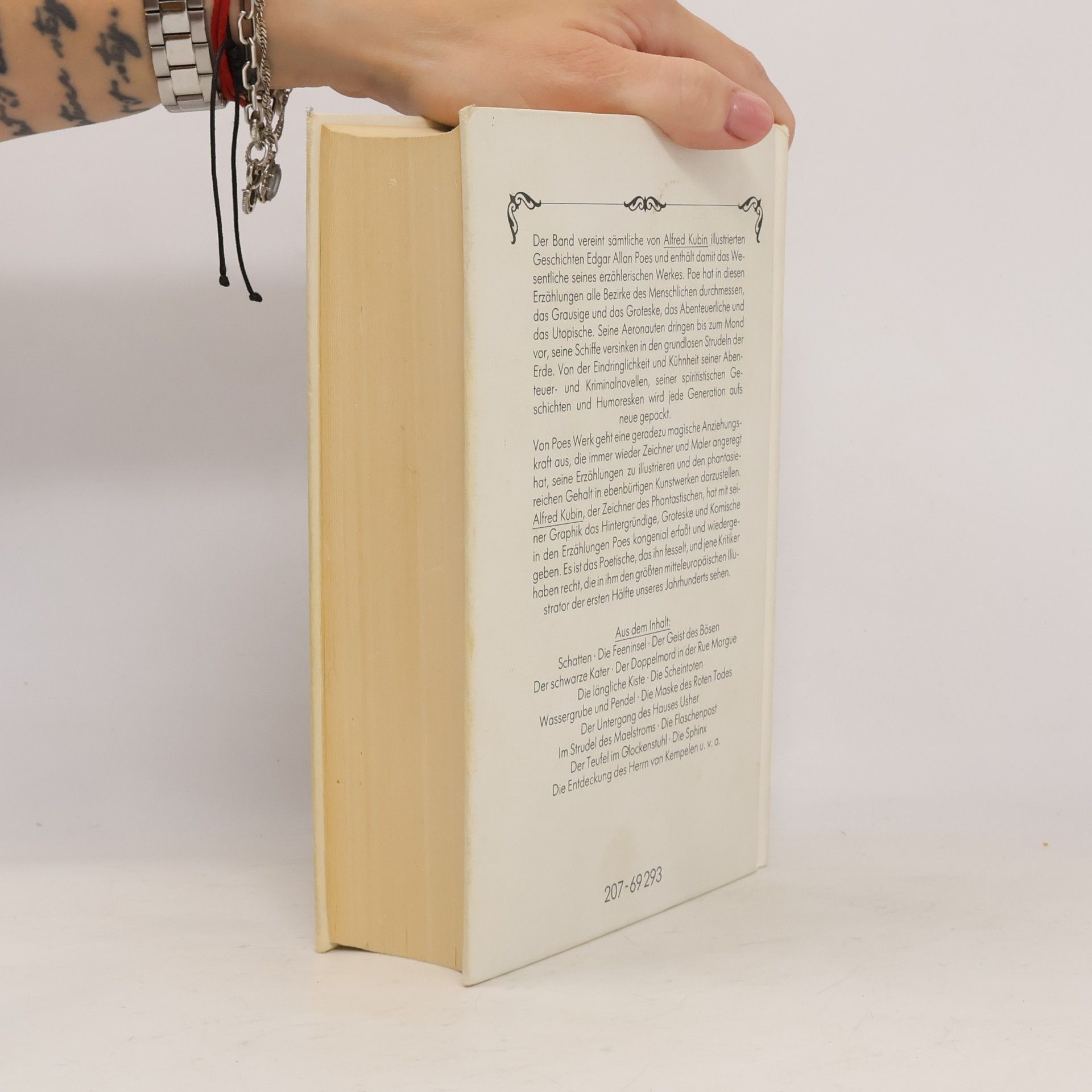 Edgar Allan Poe Erzählungen