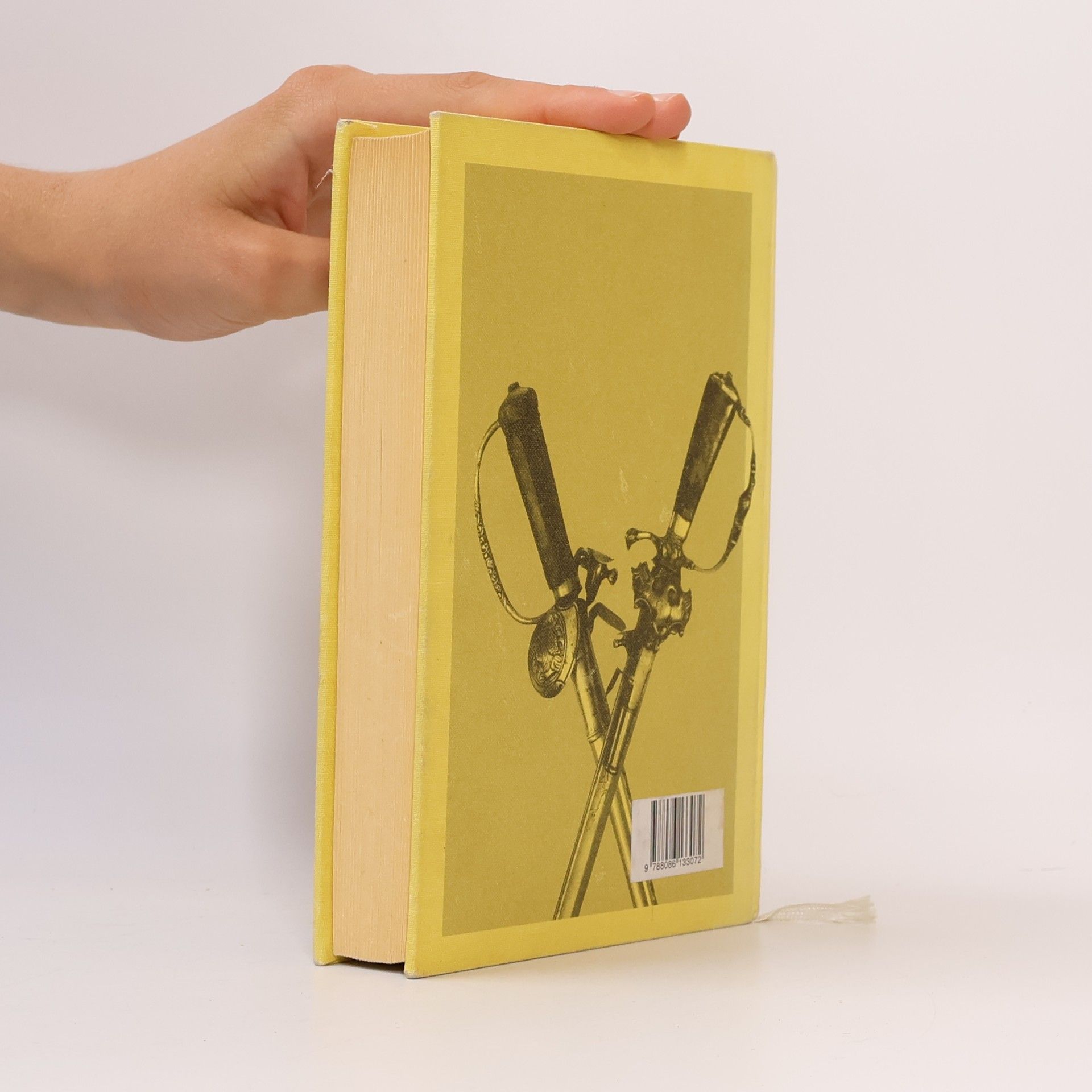 Erle Stanley Gardner Případ rozespalé ženy / Okresní prokurátor kácí les