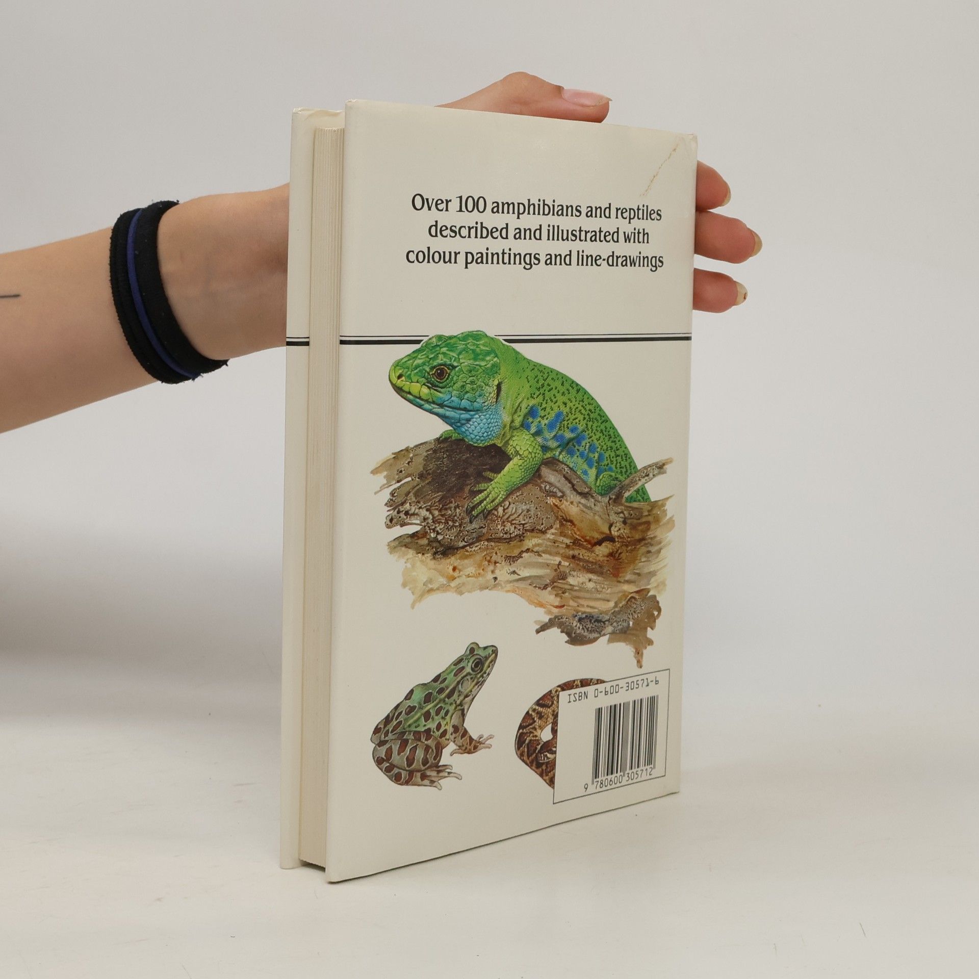Václav Laňka Hamlyn Colour Guides Amphibians and Reptiles