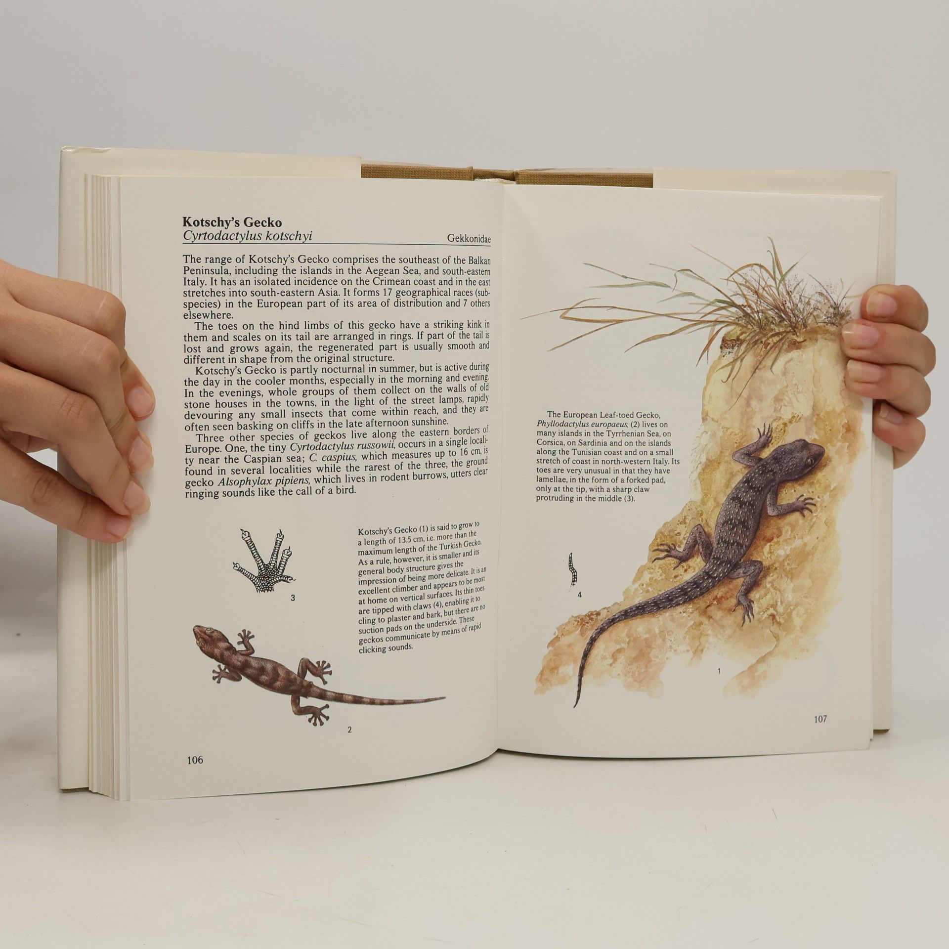 Václav Laňka Hamlyn Colour Guides Amphibians and Reptiles