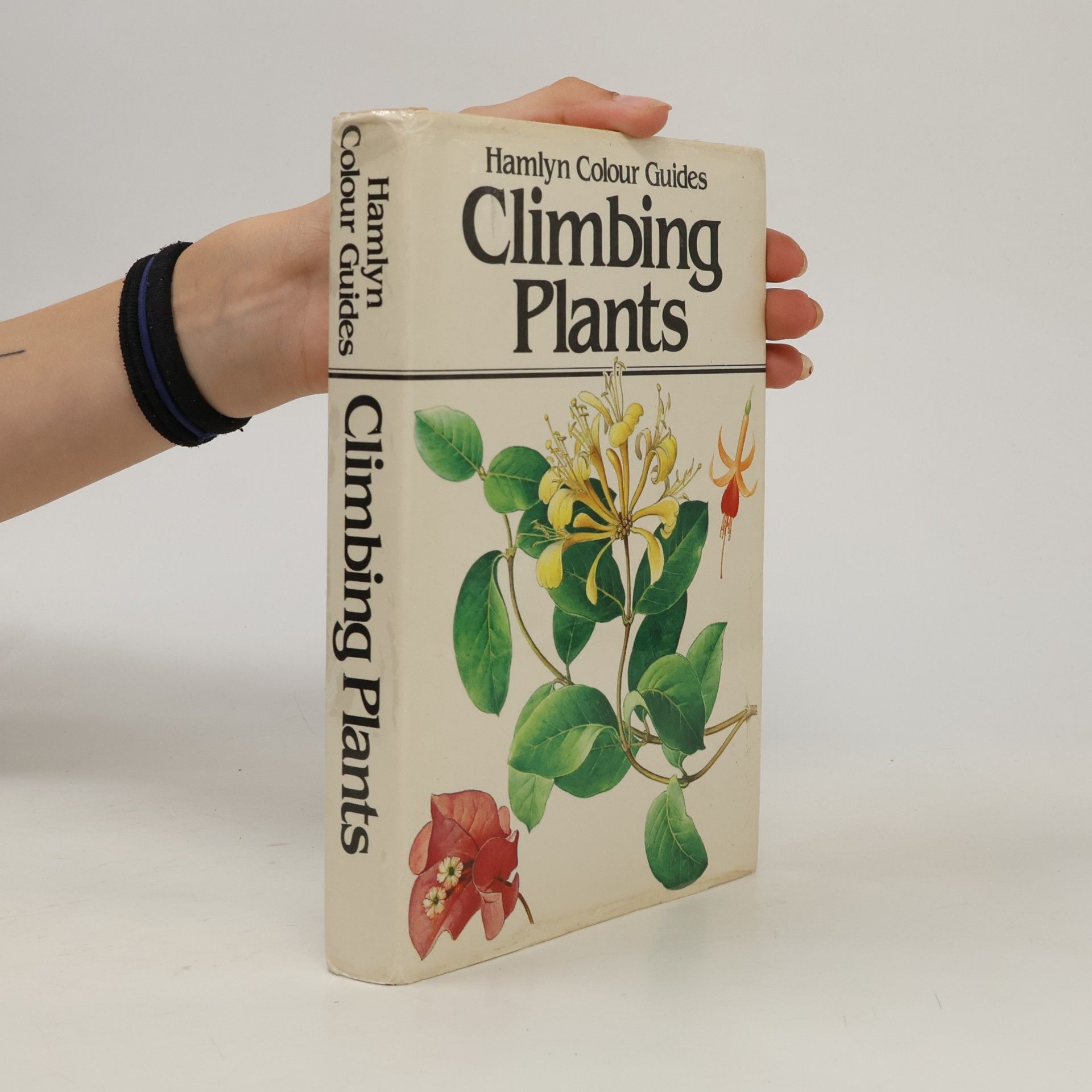 Jan Tykač Climbing Plants
