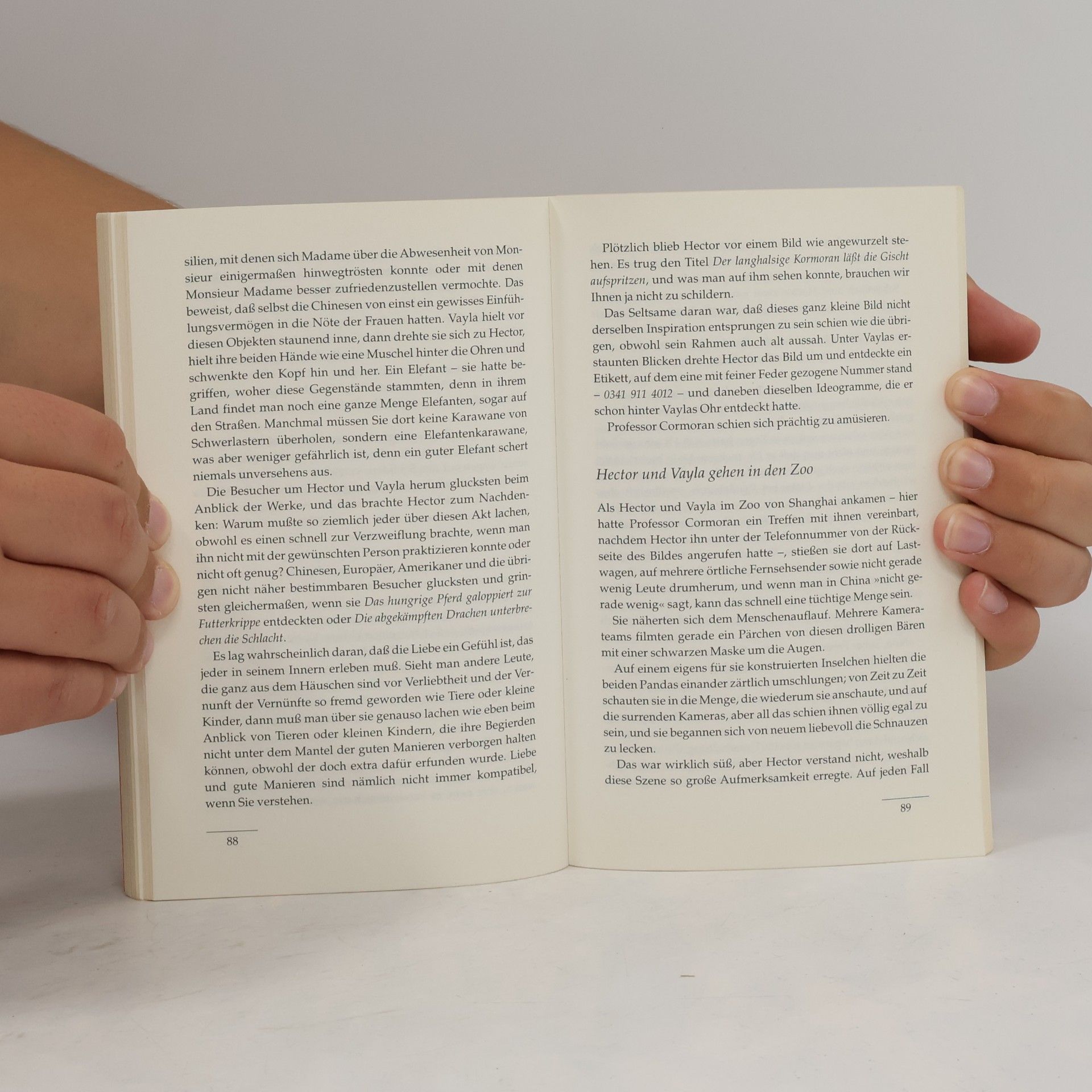Francois Lelord Hector und die Geheimnisse der Liebe