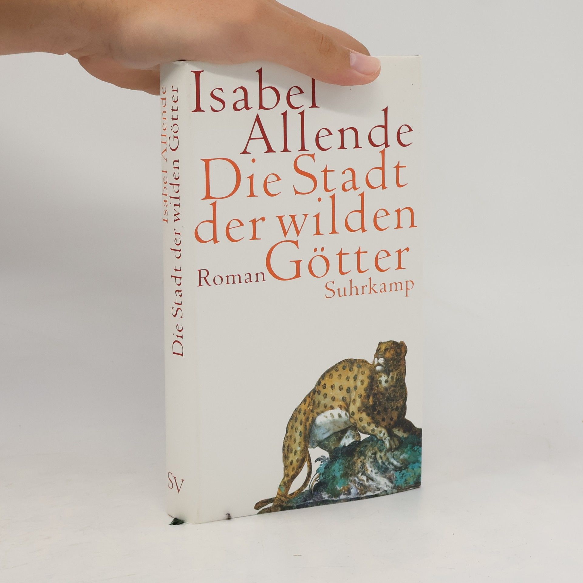 Isabel Allende Die Stadt der wilden Götter
