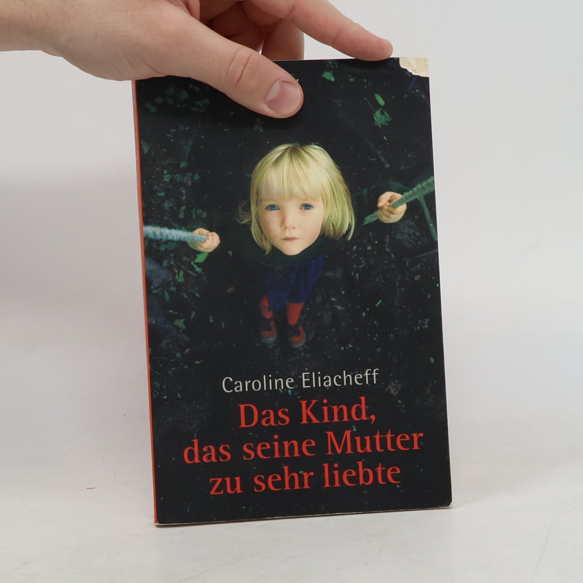 Caroline Eliacheff Das Kind, das seine Mutter zu sehr liebte