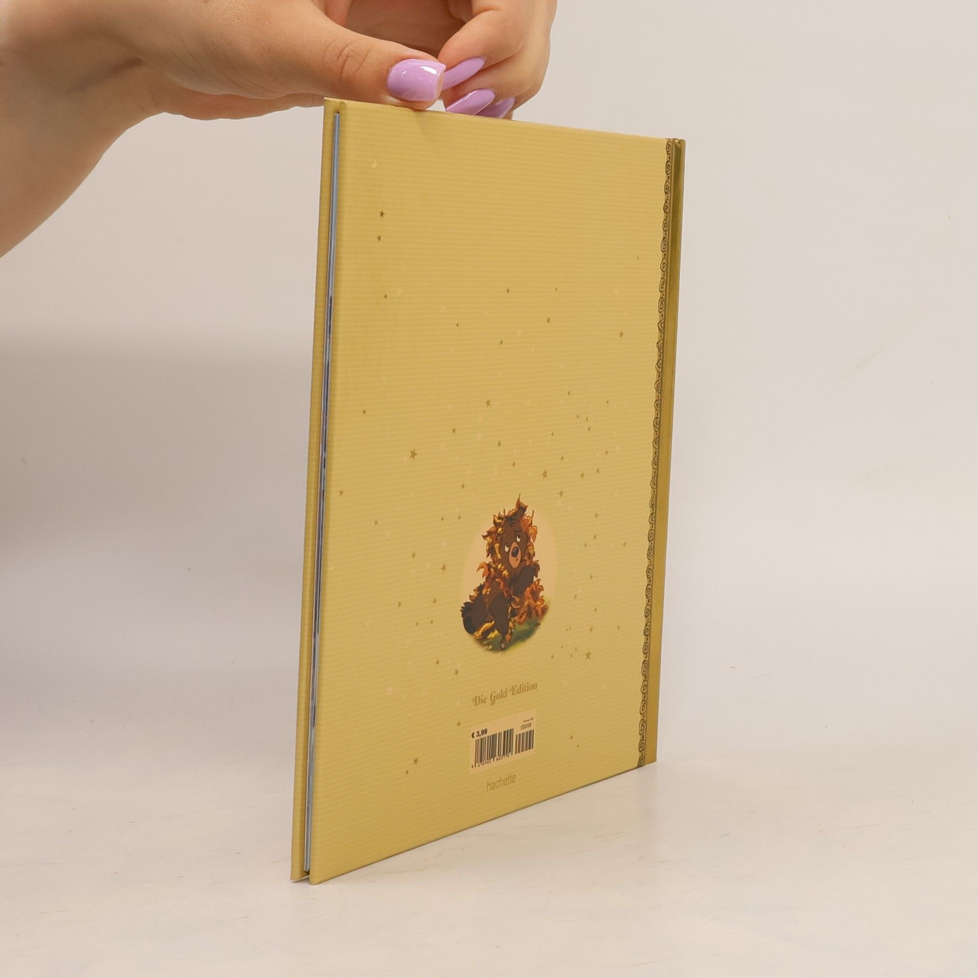 Kolektiv autorů Die Gold Edition. Bärenbrüder Abenteuer im Schnee