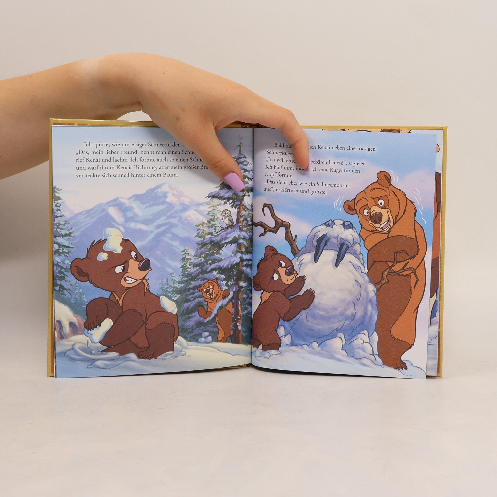 Kolektiv autorů Die Gold Edition. Bärenbrüder Abenteuer im Schnee
