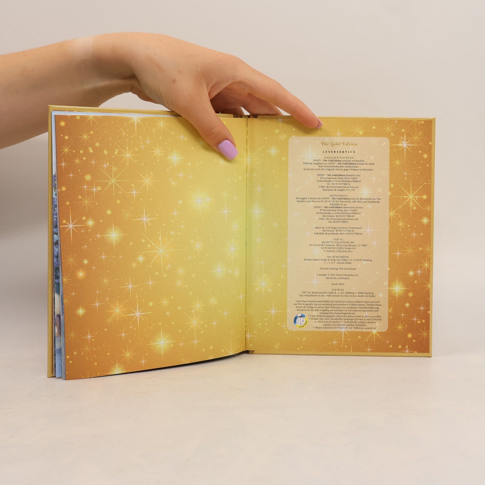Kolektiv autorů Die Gold Edition. Bärenbrüder Abenteuer im Schnee