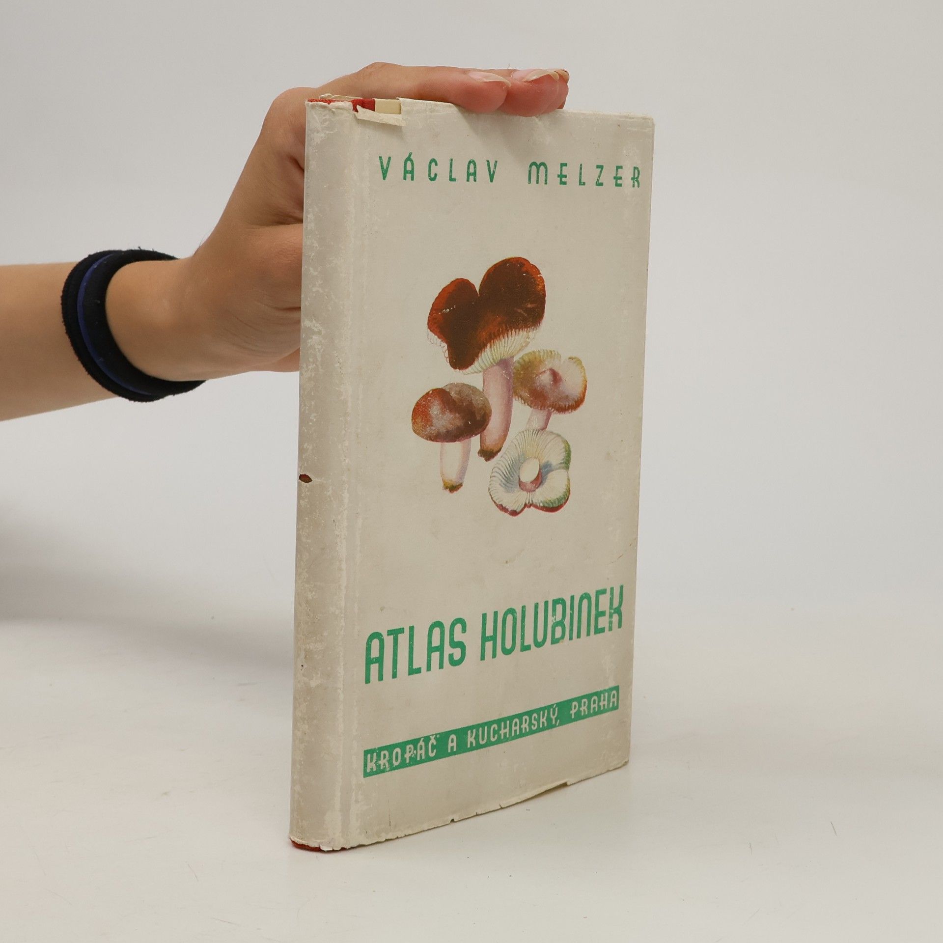 Václav Melzer Atlas holubinek