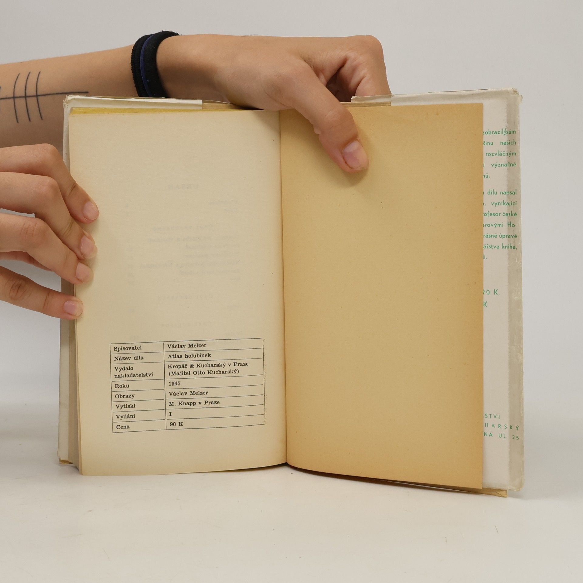 Václav Melzer Atlas holubinek
