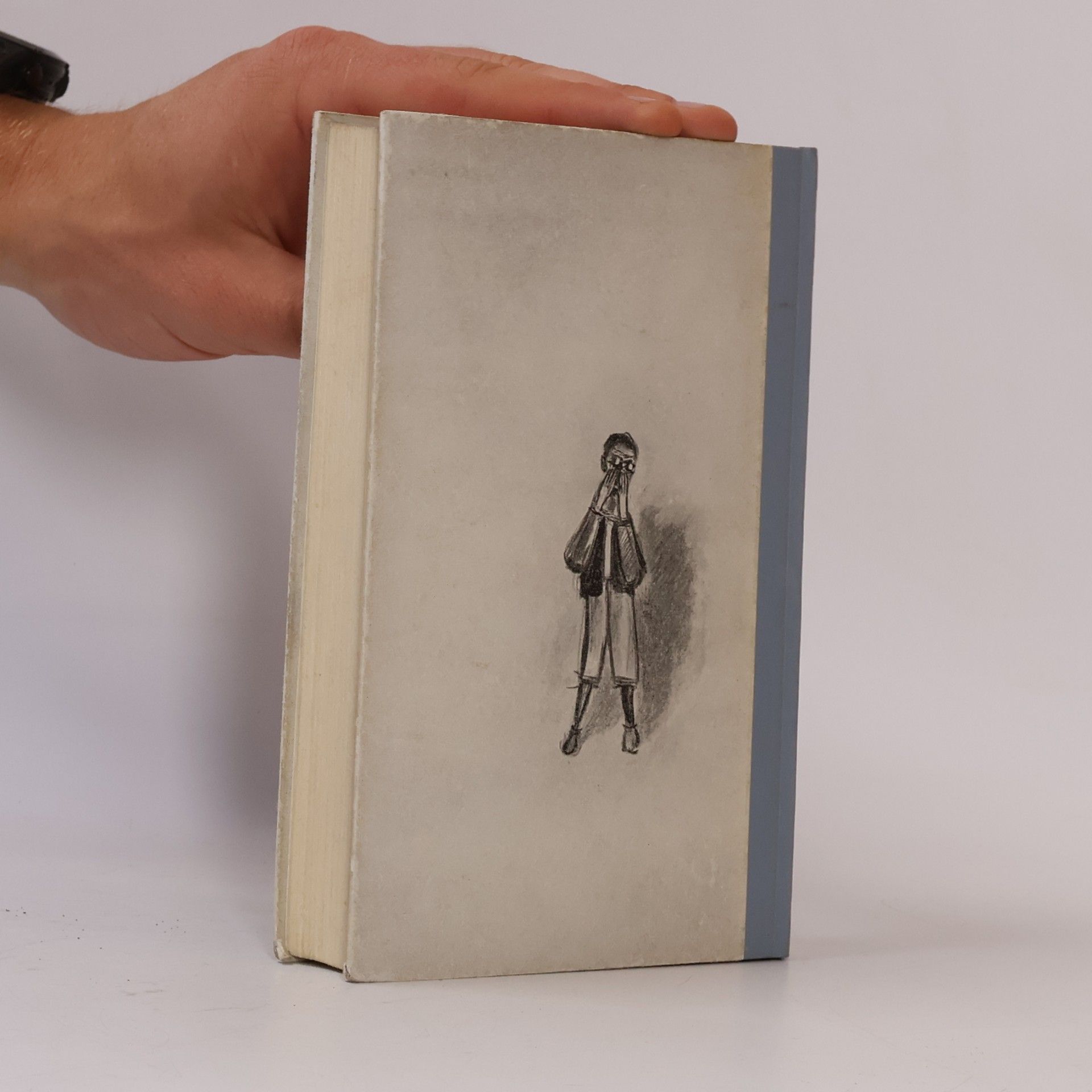 Guy de Maupassant Am Leben Vorbei