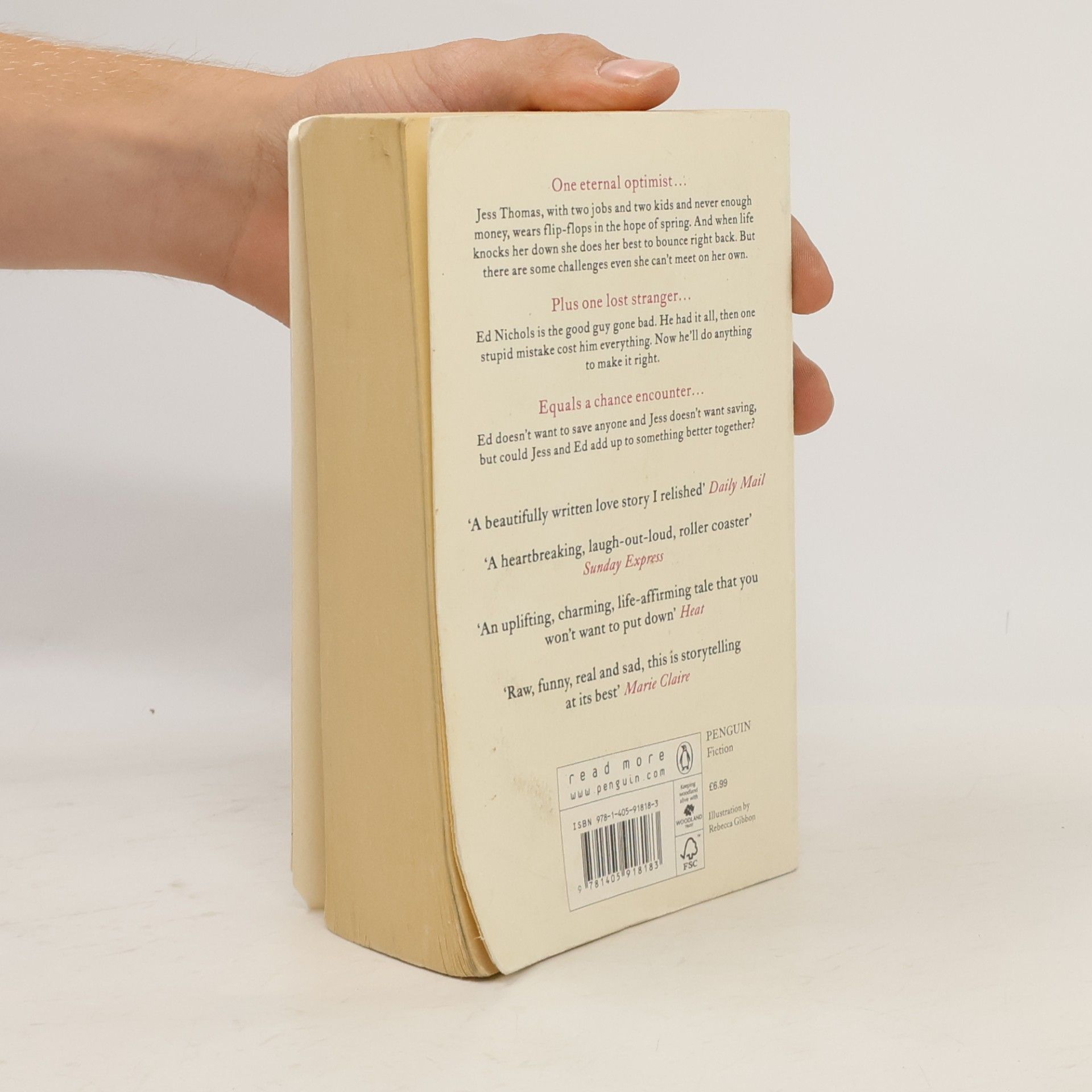 Jojo Moyes The one plus one
