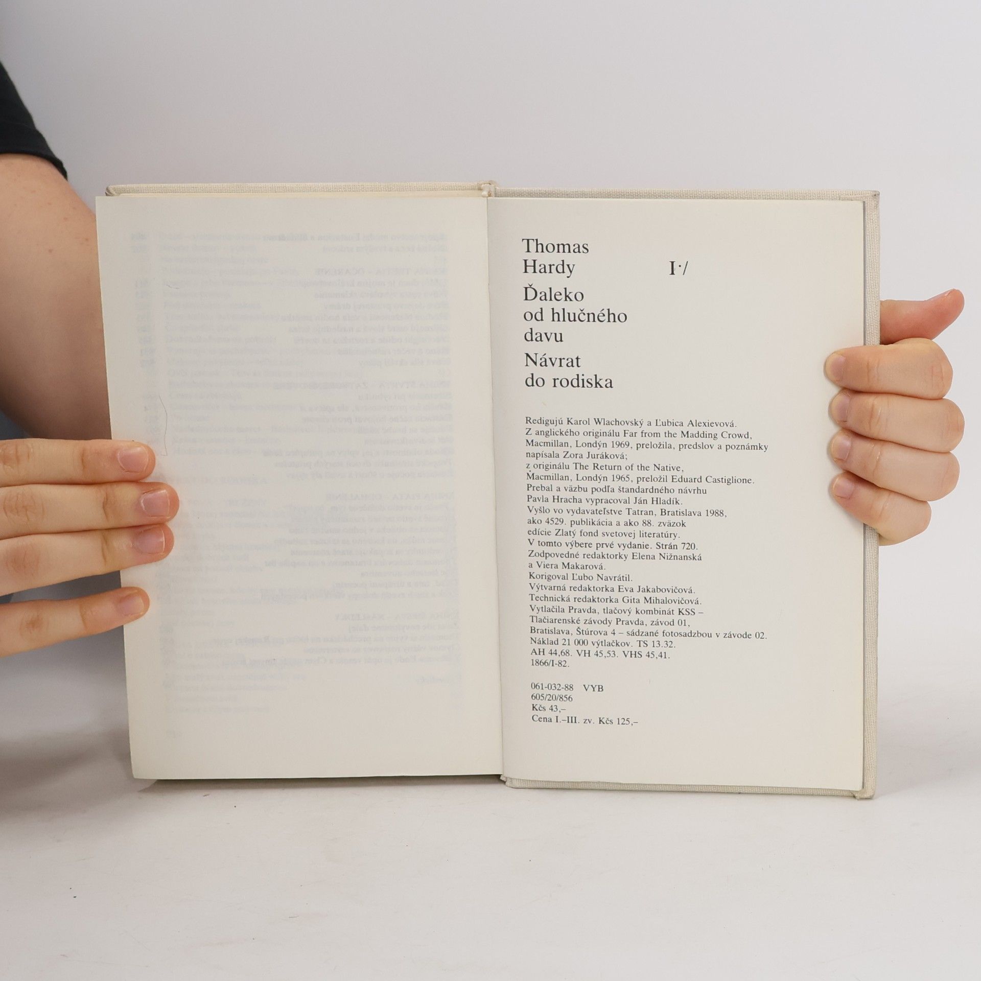 Thomas Hardy Ďaleko od hlučného davu. Návrat do rodiska