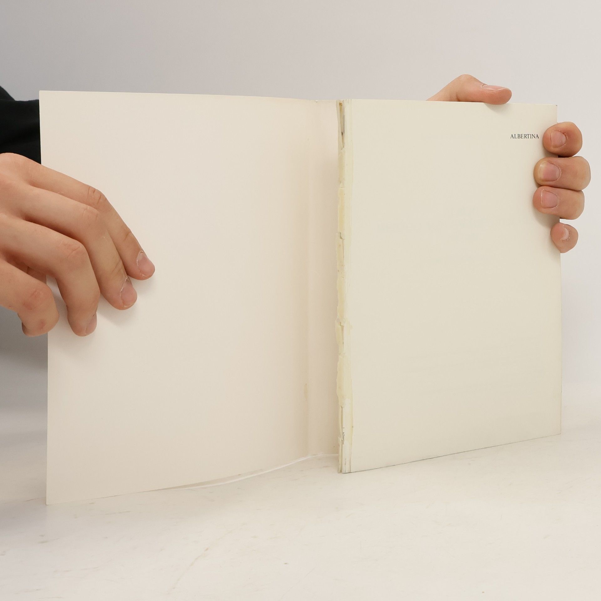Graphische Sammlung Albertina Albert Herzog von Sachsen-Teschen