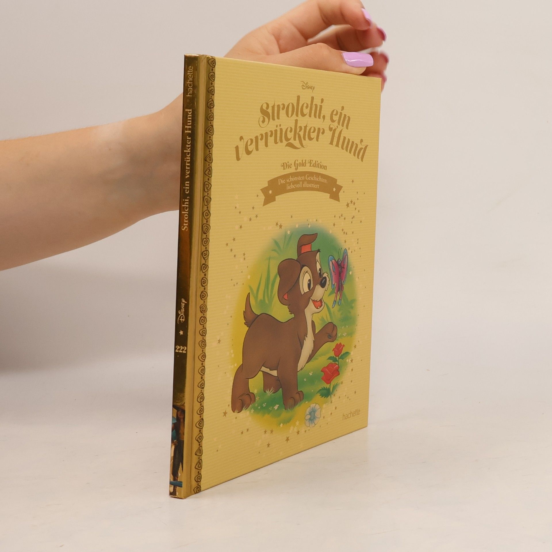 Autorenkollektiv Strolchi, ein verrückter Hund