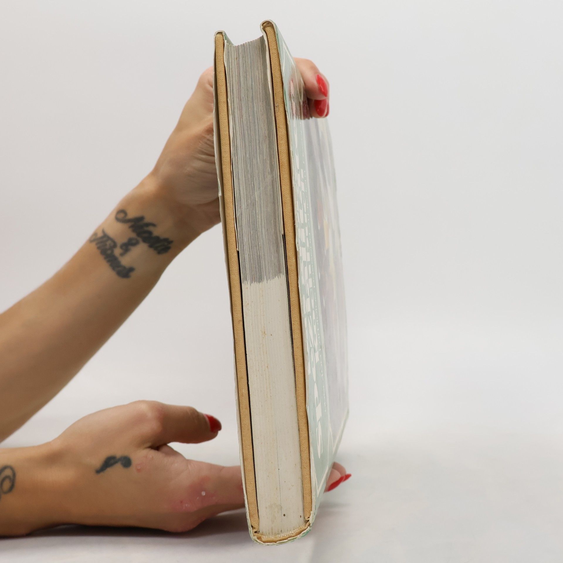 Rosemary Wadey Das große Spezialitäten-Kochbuch