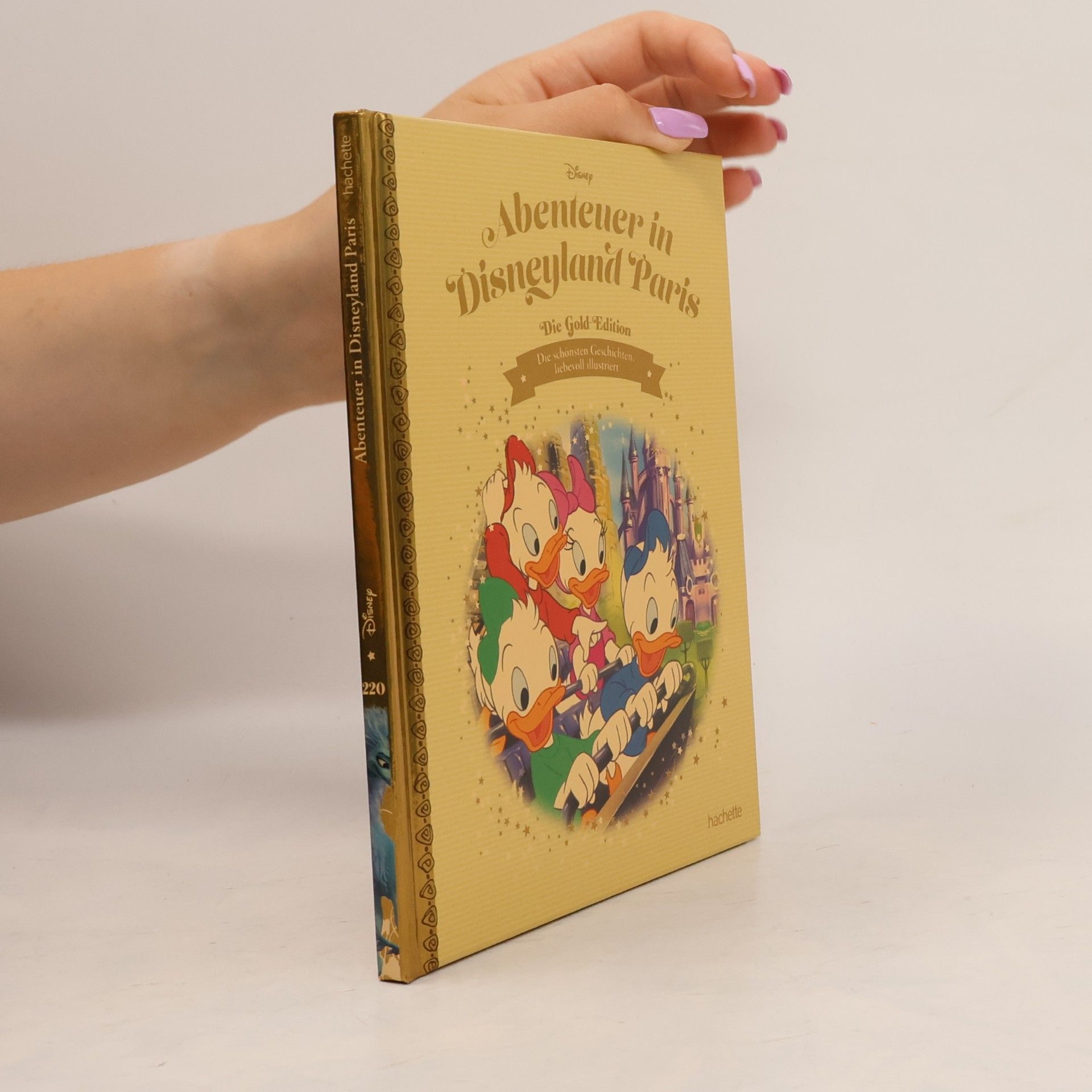Autorenkollektiv Abenteuer in Disneyland Paris