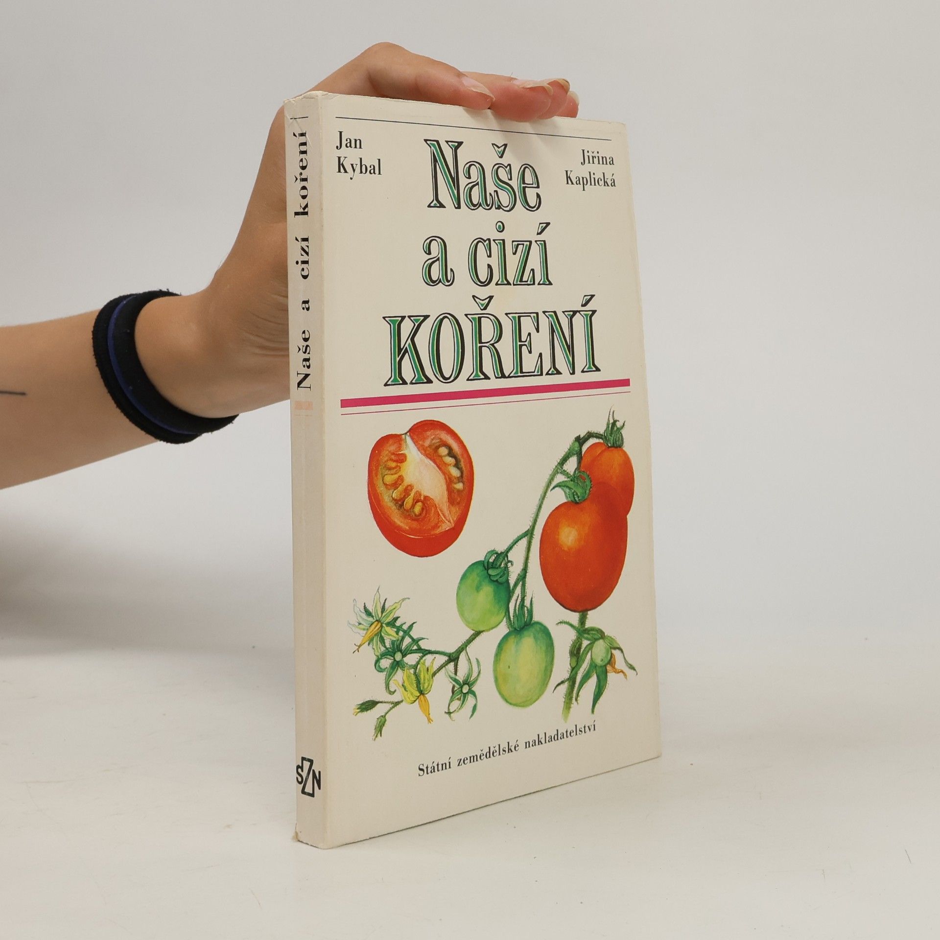 Naše a cizí koření