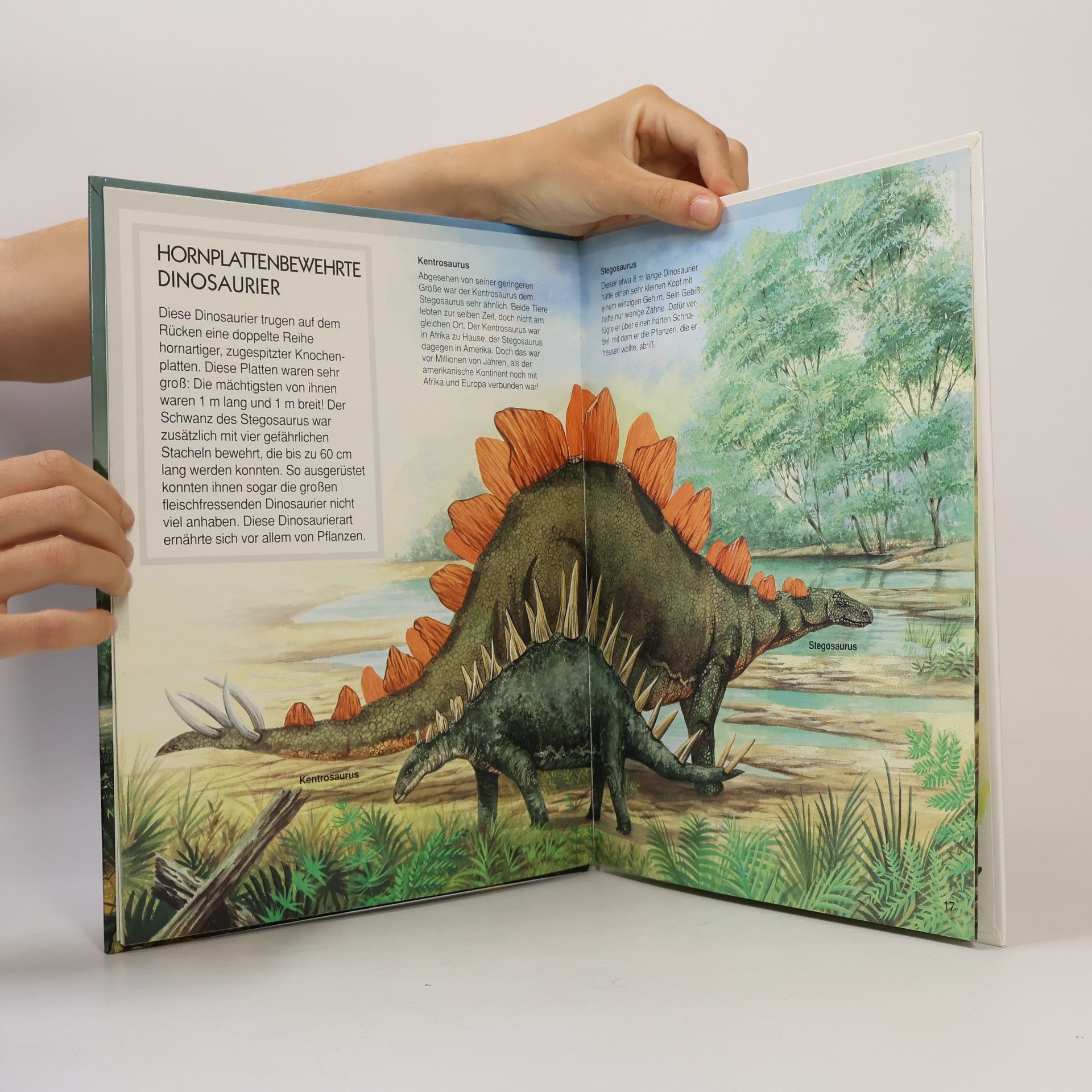 Émilie Beaumont Auf den Spuren der Dinosaurier