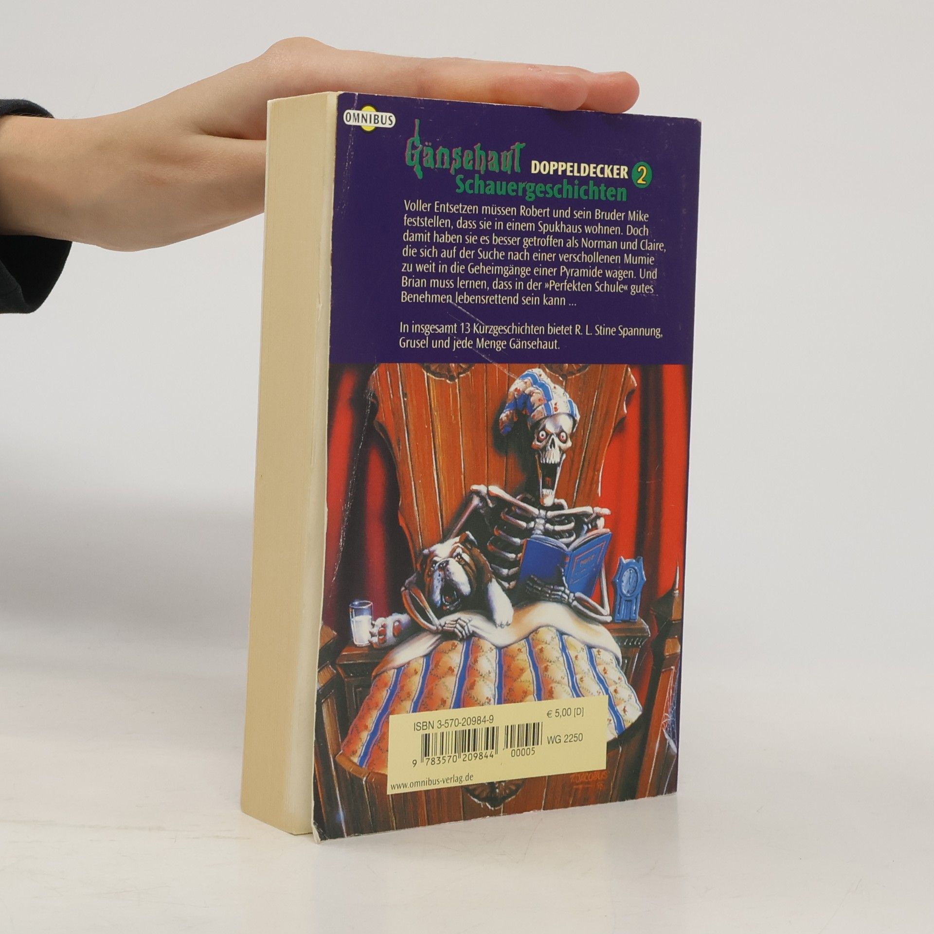 R. L. Stine Mehr Schauergeschichten Doppeldecker 2. Gänsehaut