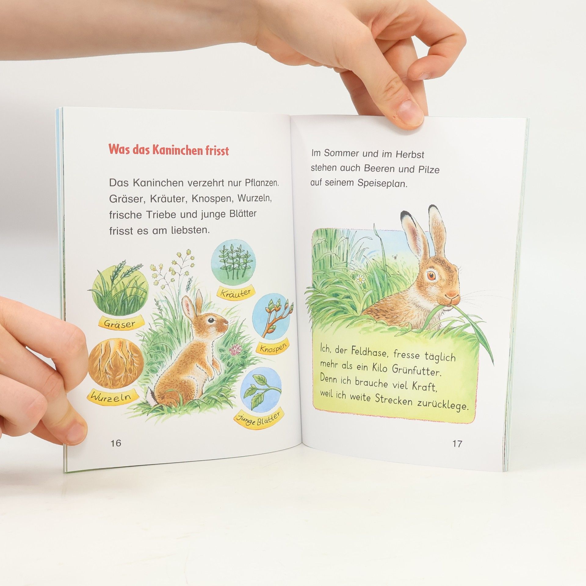 Friederun Reichenstetter Das Kaninchen und der Feldhase