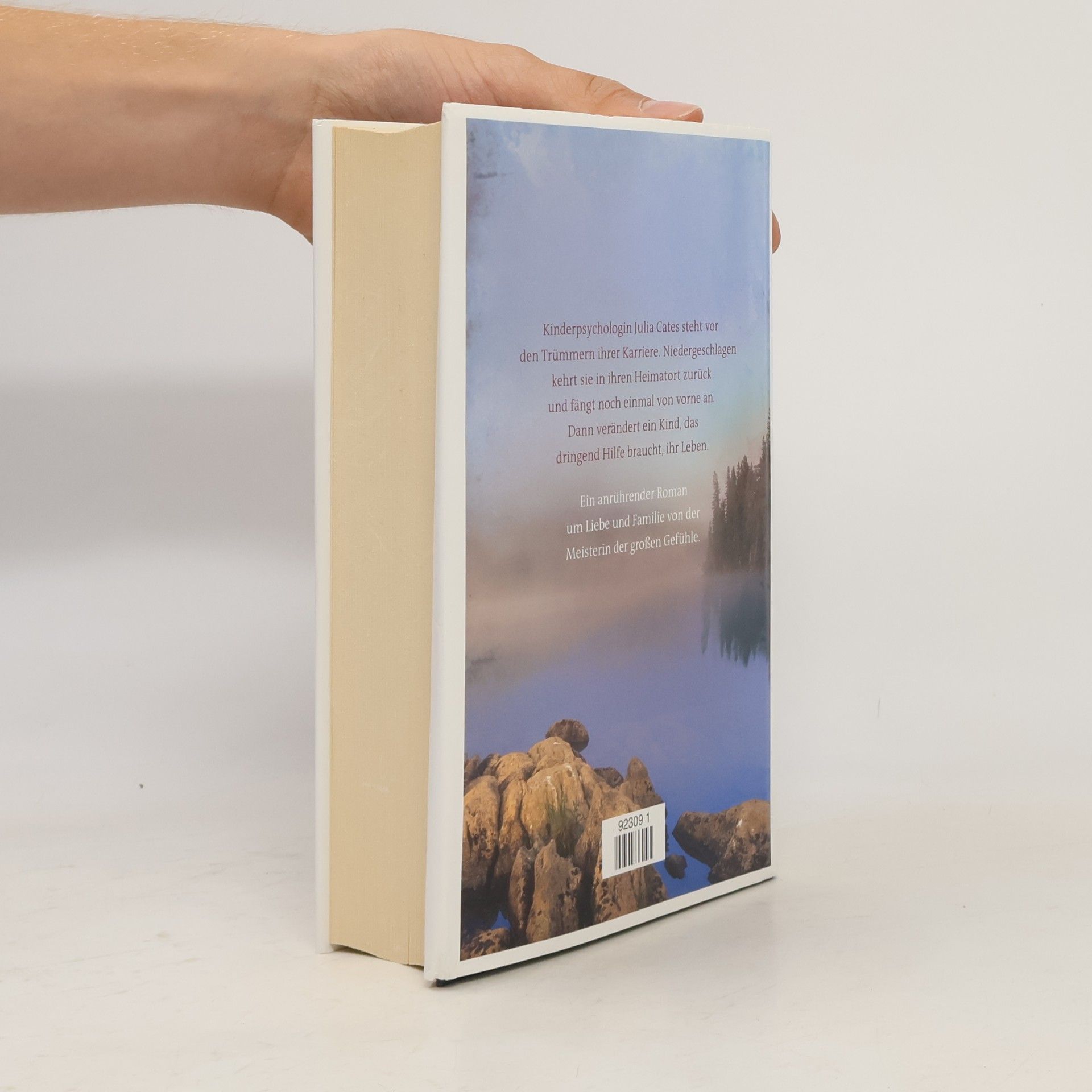 Kristin Hannah Wohin das Herz uns Trägt