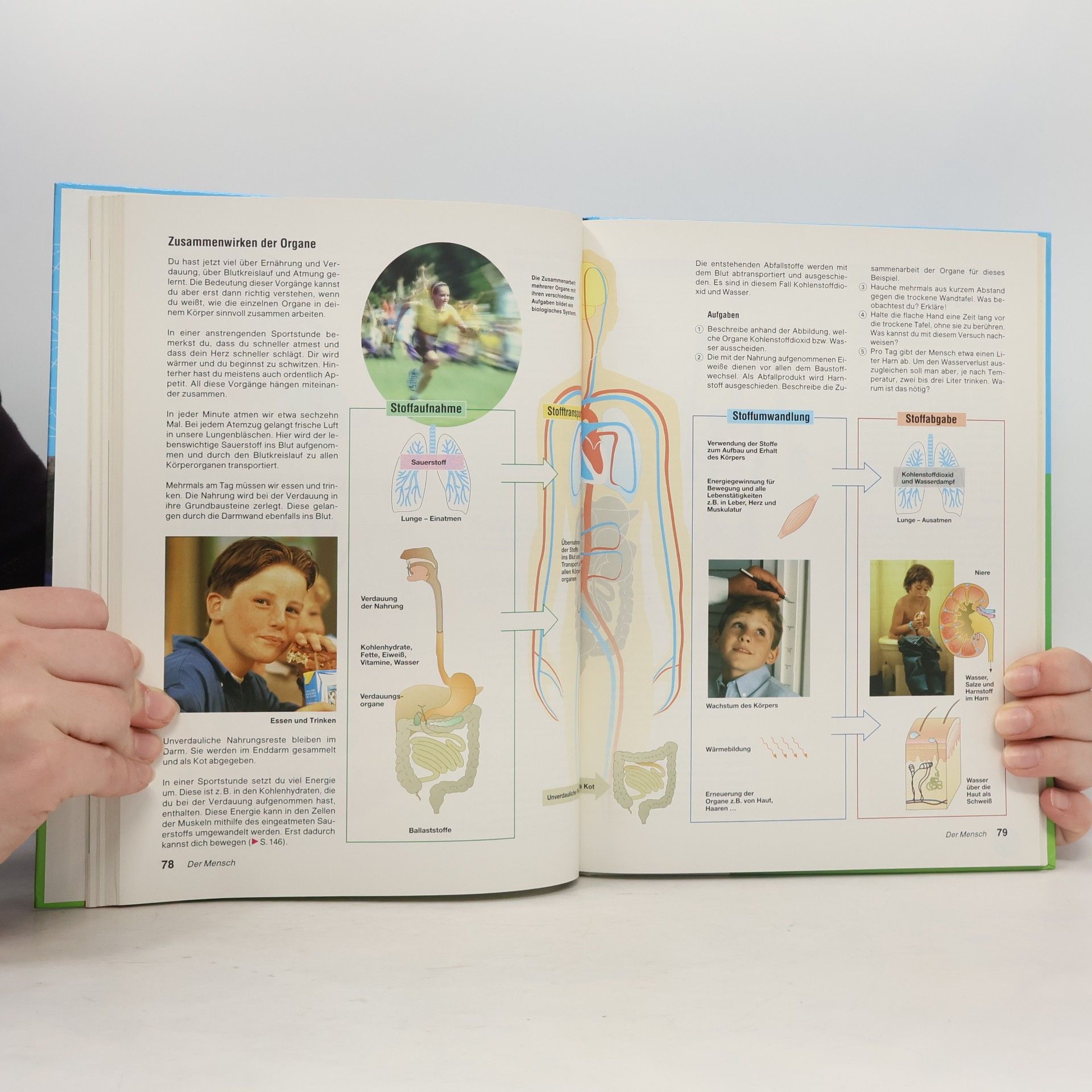 Autorenkollektiv Natura 2