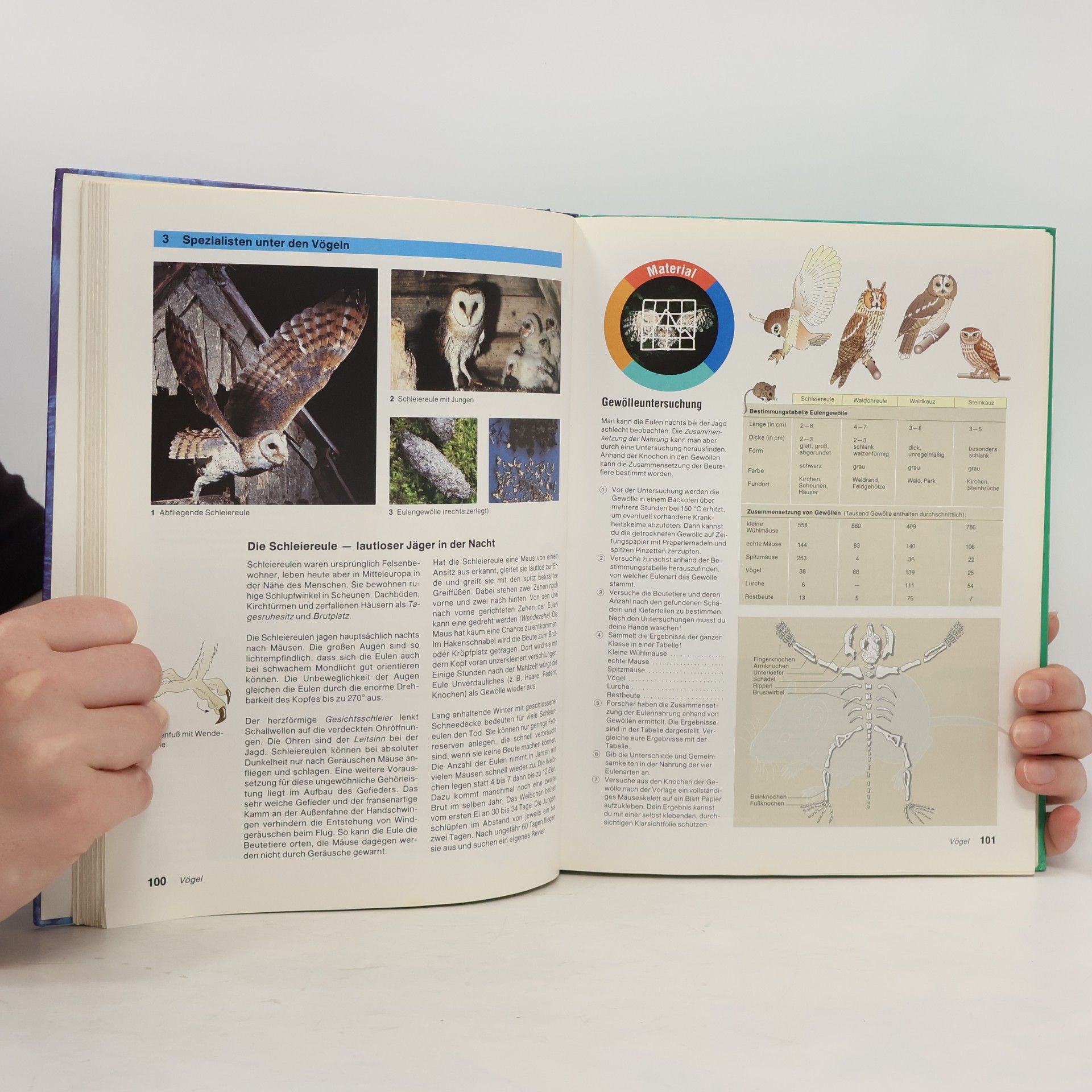 Autorenkollektiv Natura - Biologie für Gymnasien