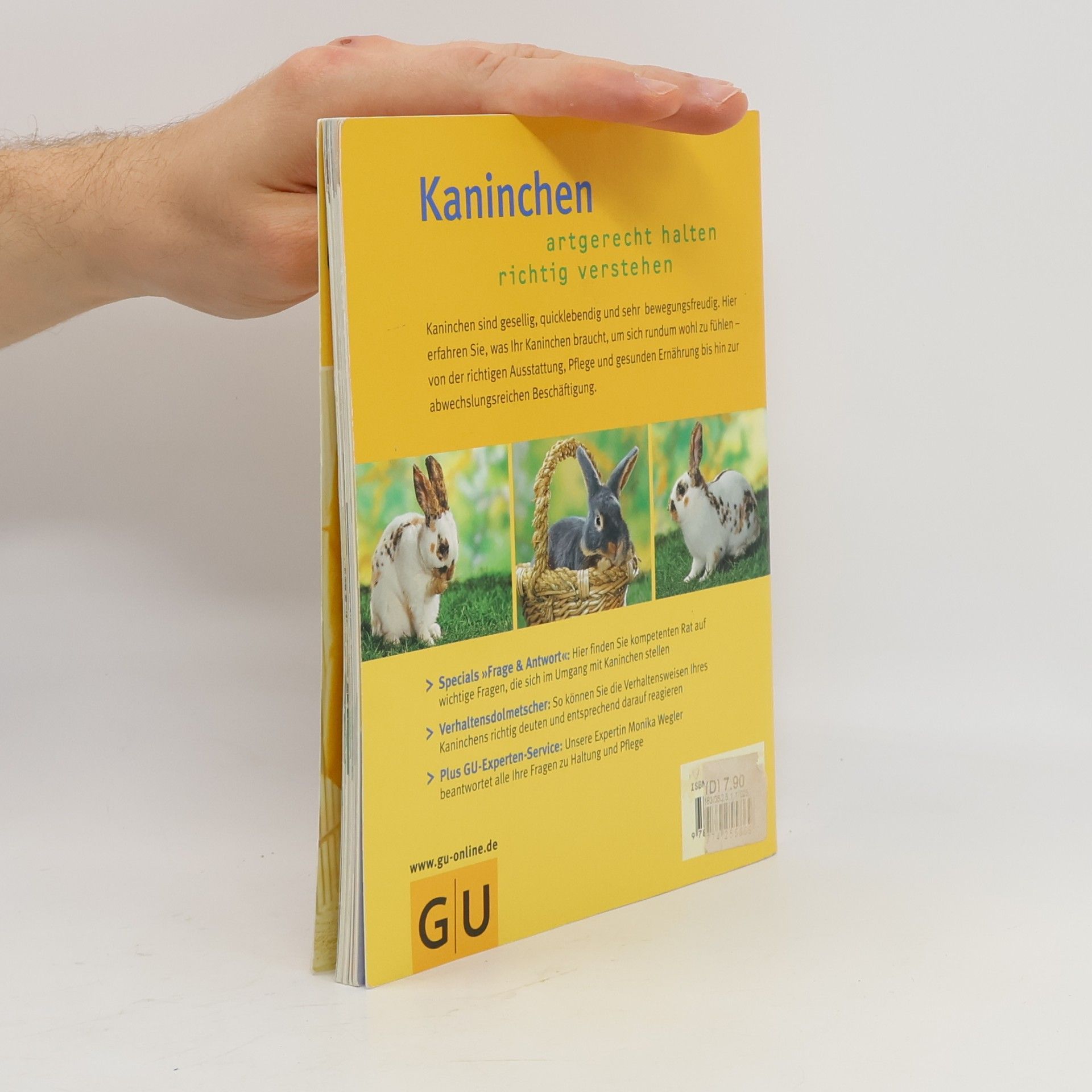 Monika Wegler Kaninchen