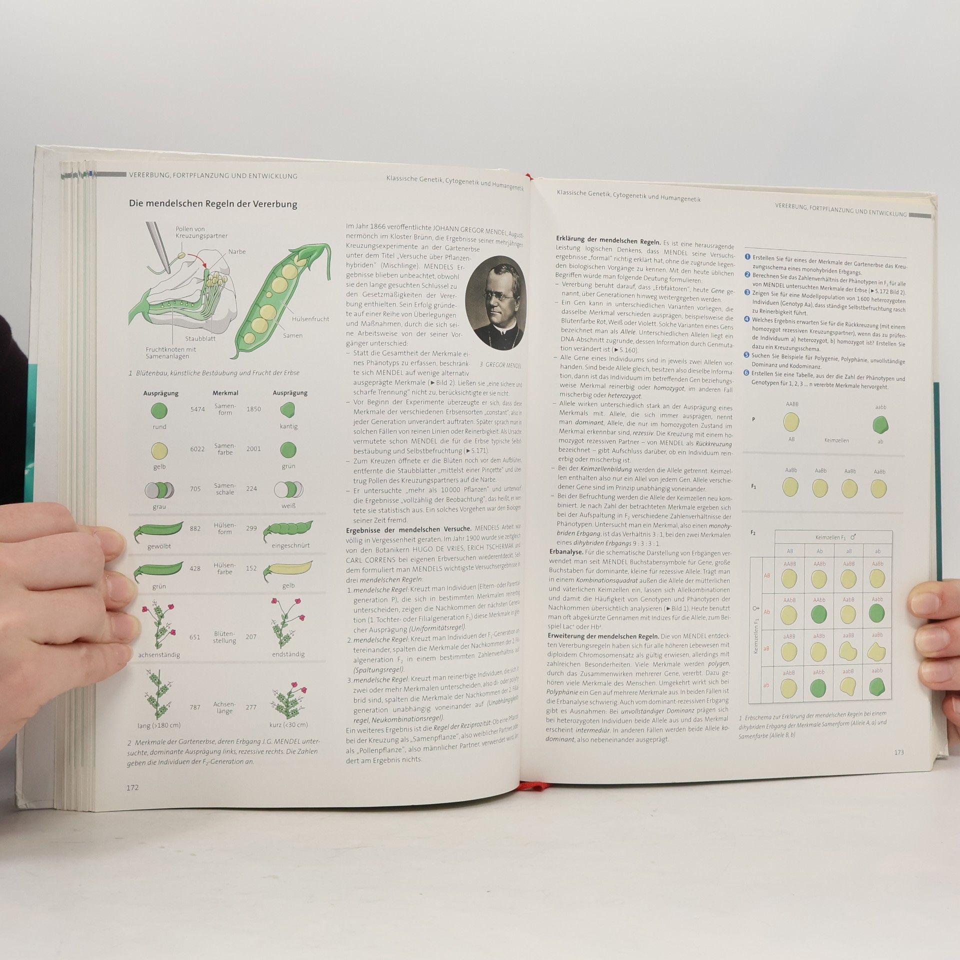 Autorenkollektiv Biologie - Oberstufe