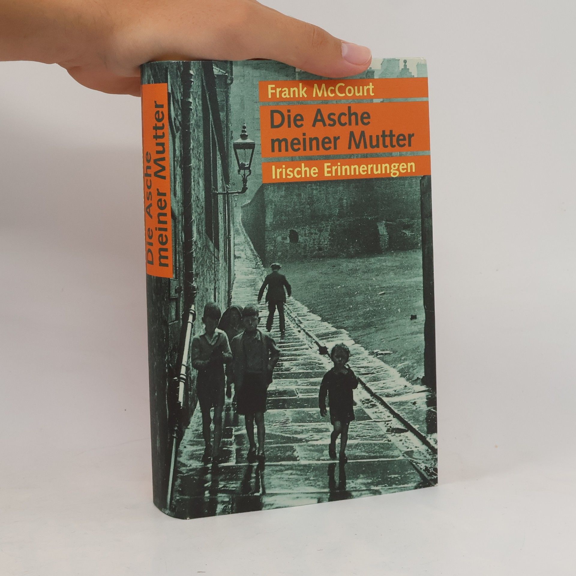 Frank McCourt Die Asche meiner Mutter
