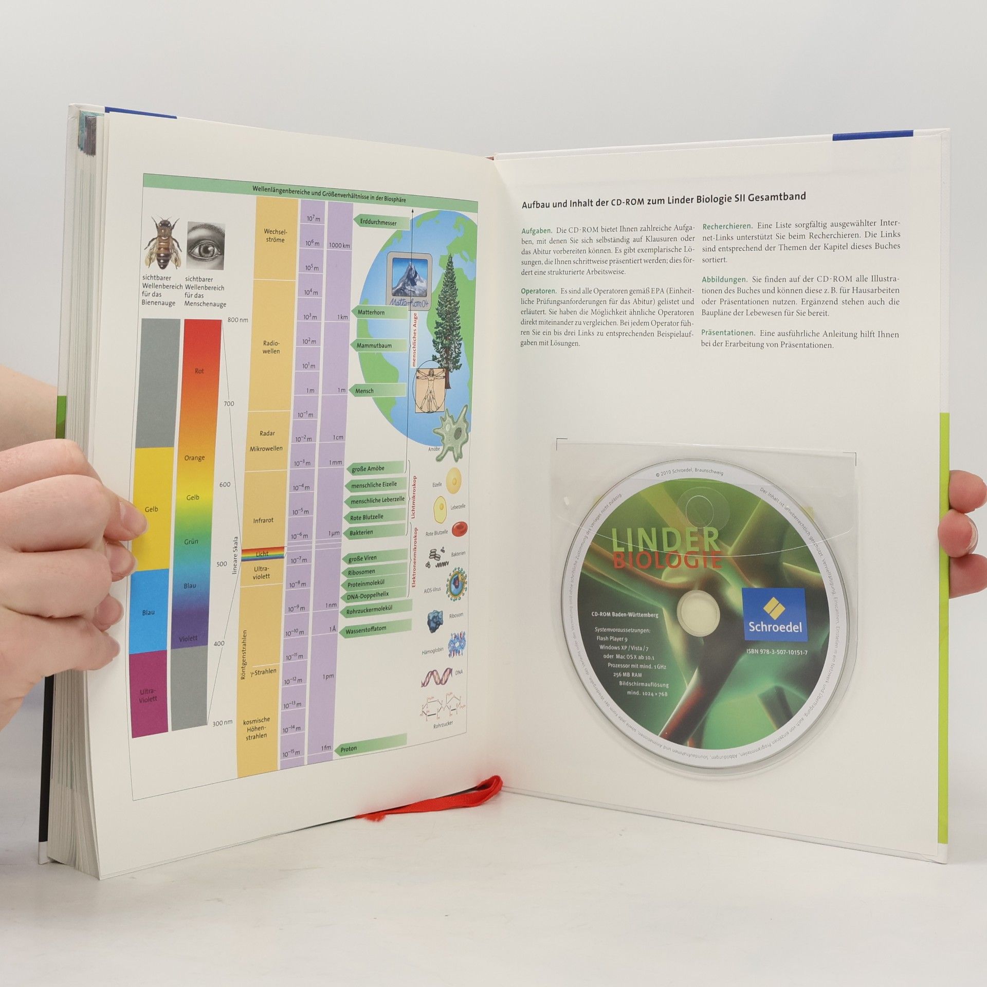 Hermann Linder Linder Biologie - Lehrbuch für die Oberstufe