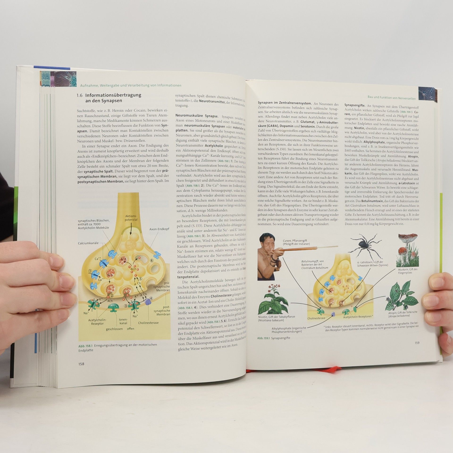 Hermann Linder Linder Biologie - Lehrbuch für die Oberstufe