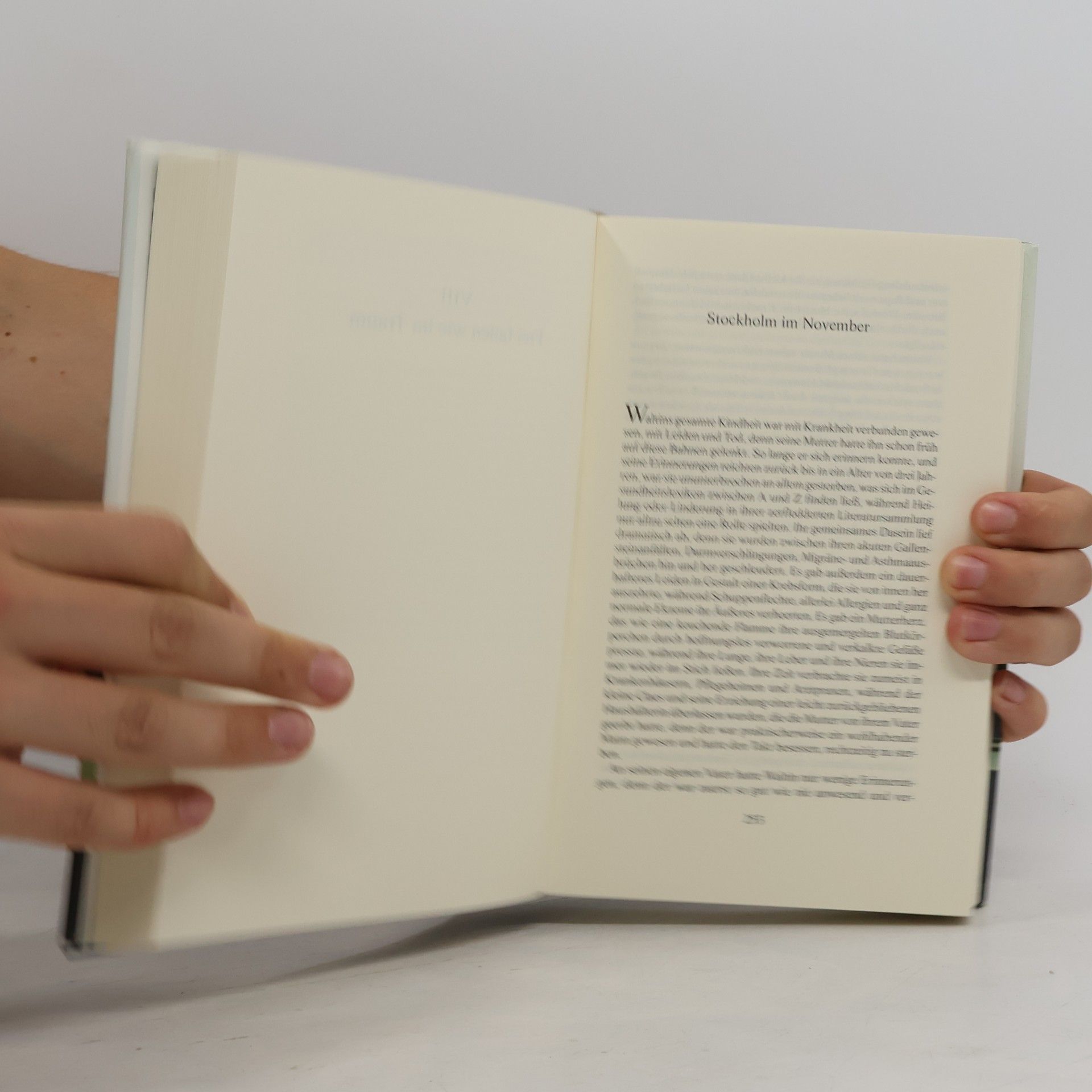 Leif G. W. Persson Zwischen der Sehnsucht des Sommers und der Kälte des Winters