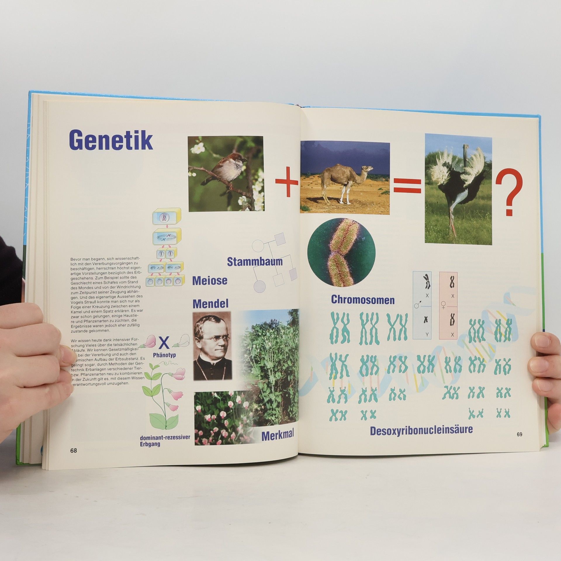 Autorenkollektiv Natura 3. Biologie für Gymnasien