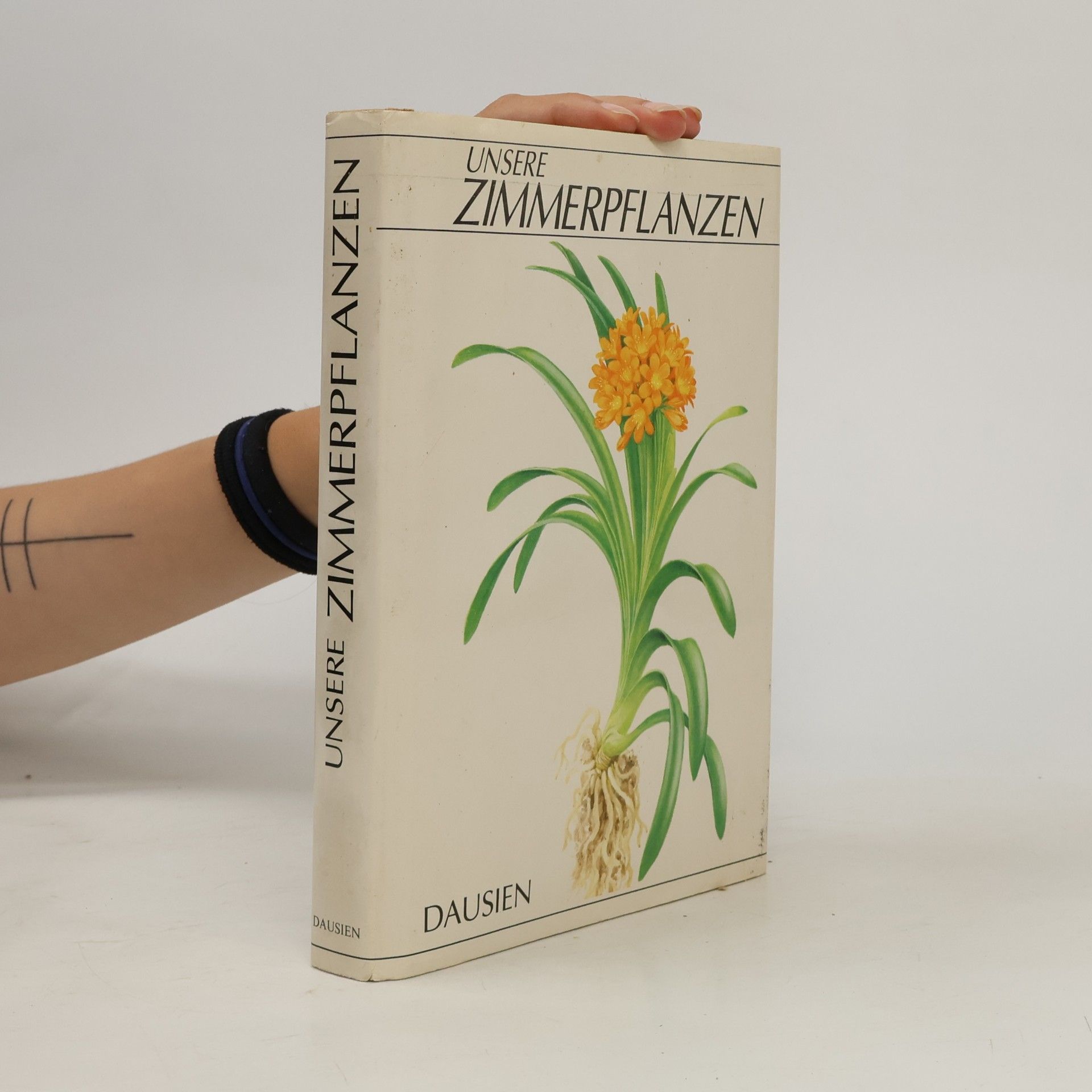 Unsere Zimmerpflanzen
