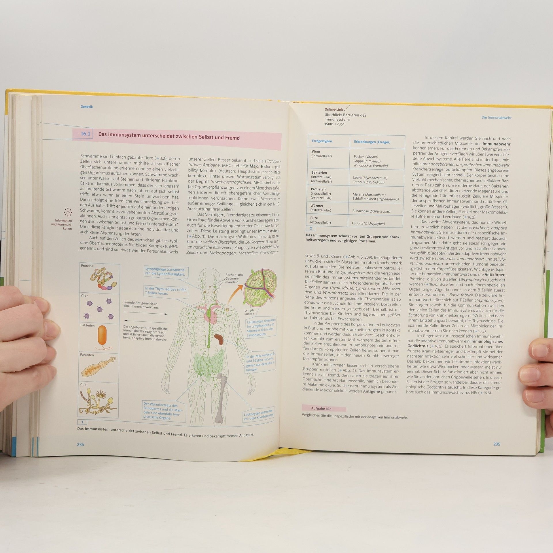 Autorenkollektiv Markl Biologie : Oberstufe